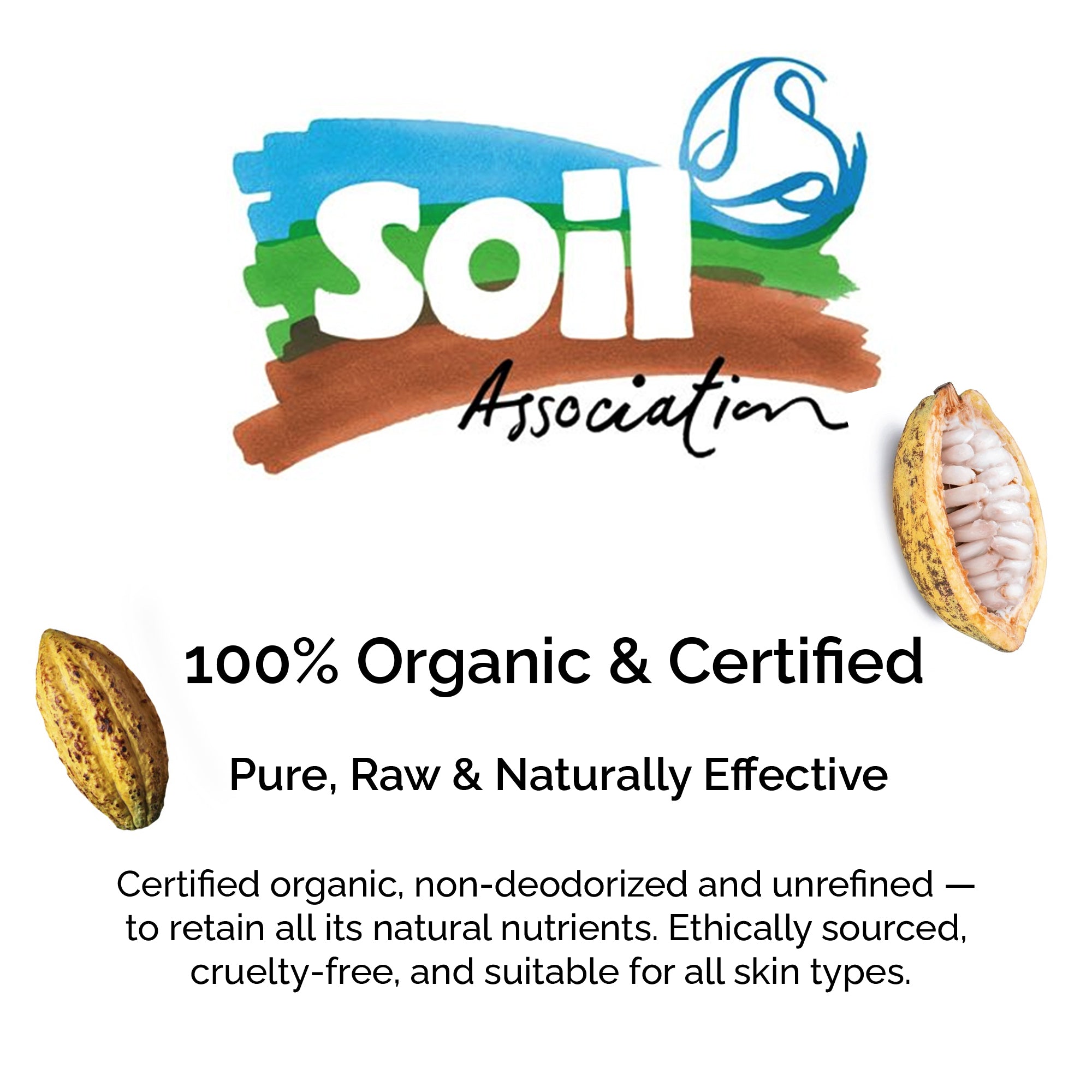 Beurre de cacao 100 % biologique – Formule nourrissante pour la peau et les cheveux