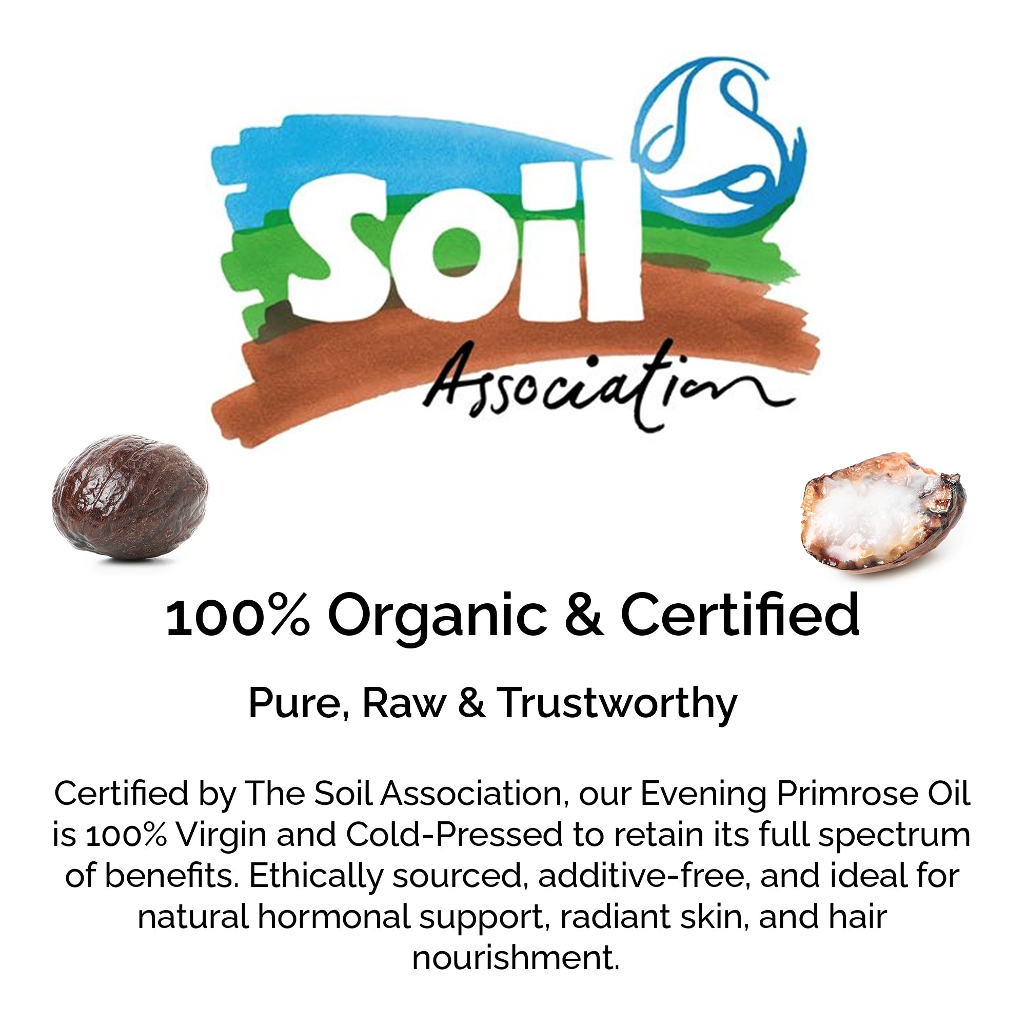 100% Organic Raw & Unrefined Shea Butter – Pure & Natural