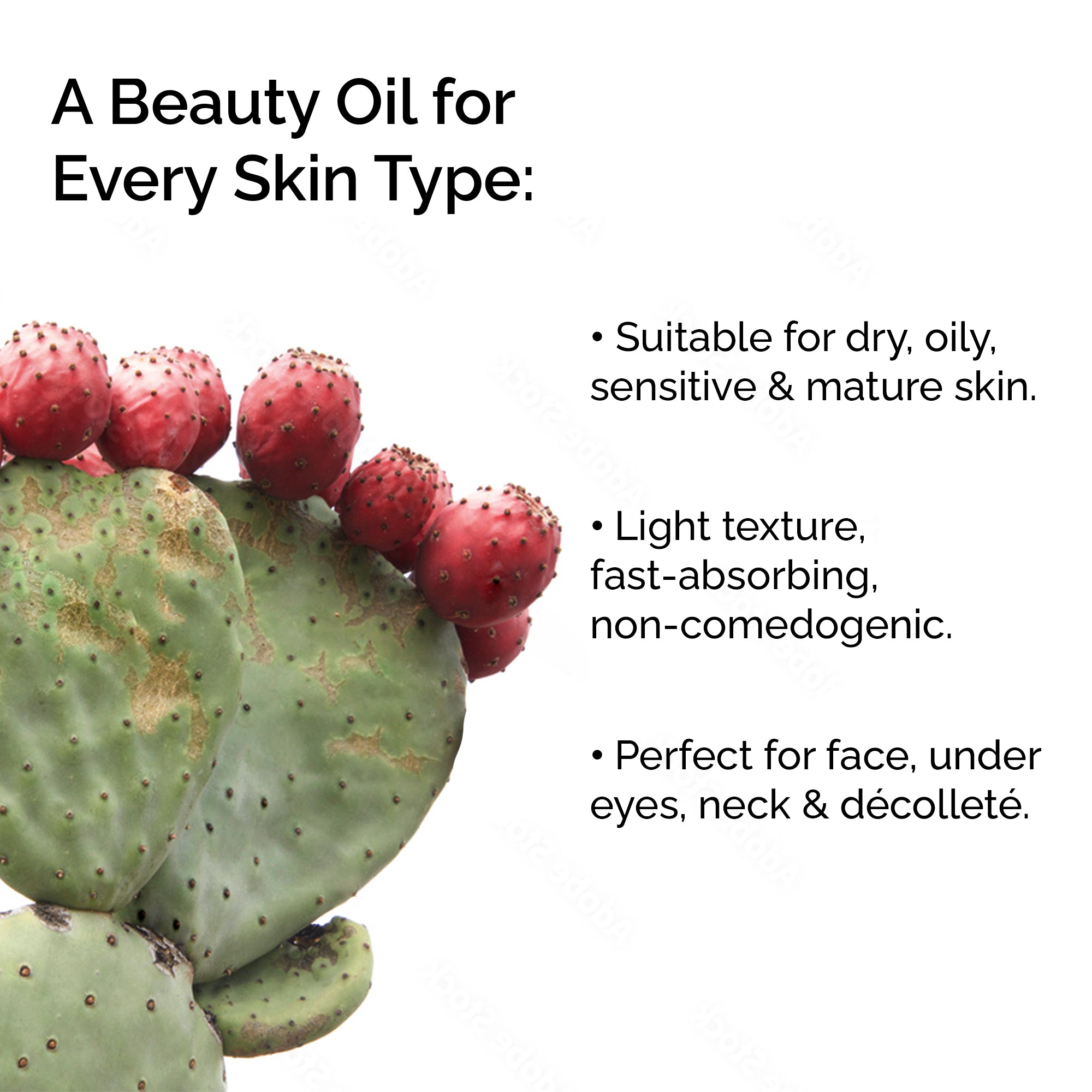 Cactus with red fruits and text about a beauty oil for various skin types on a white background