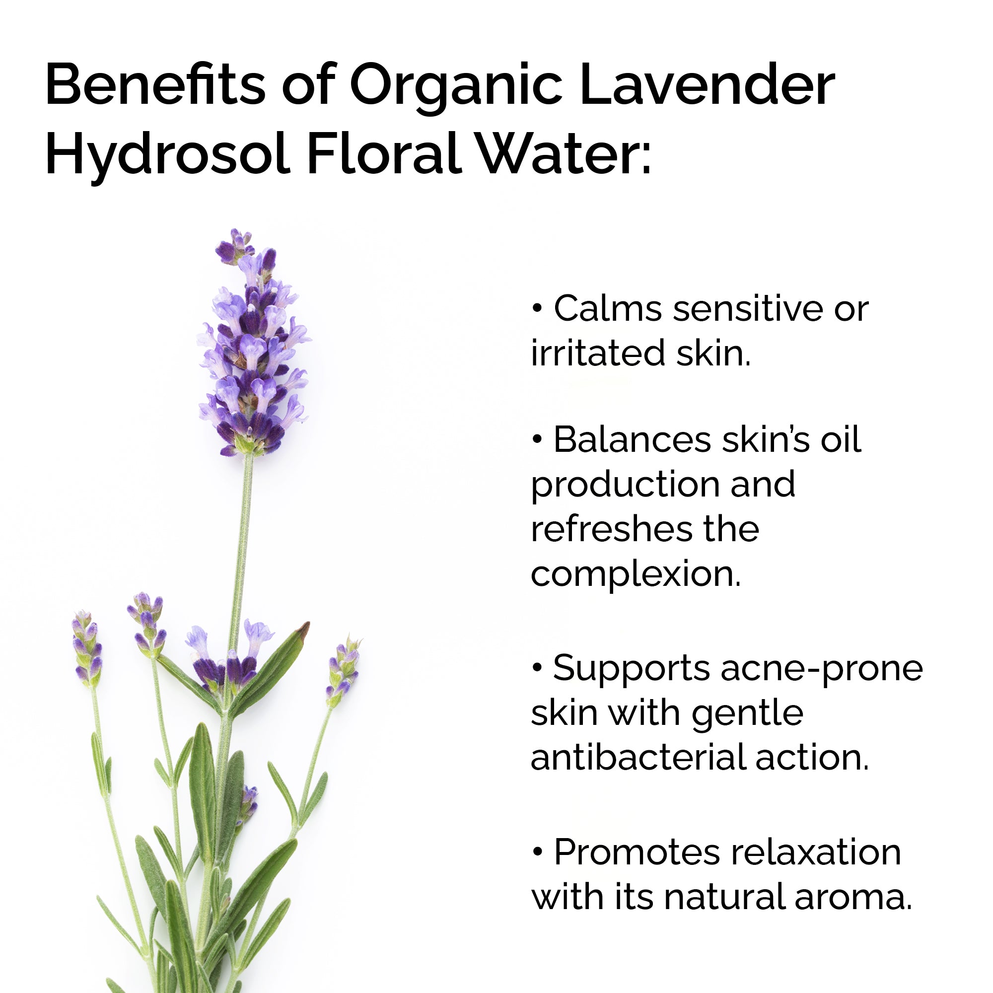 Organic Lavender Hydrosol – Soothing Floral Water for Skin & Hair