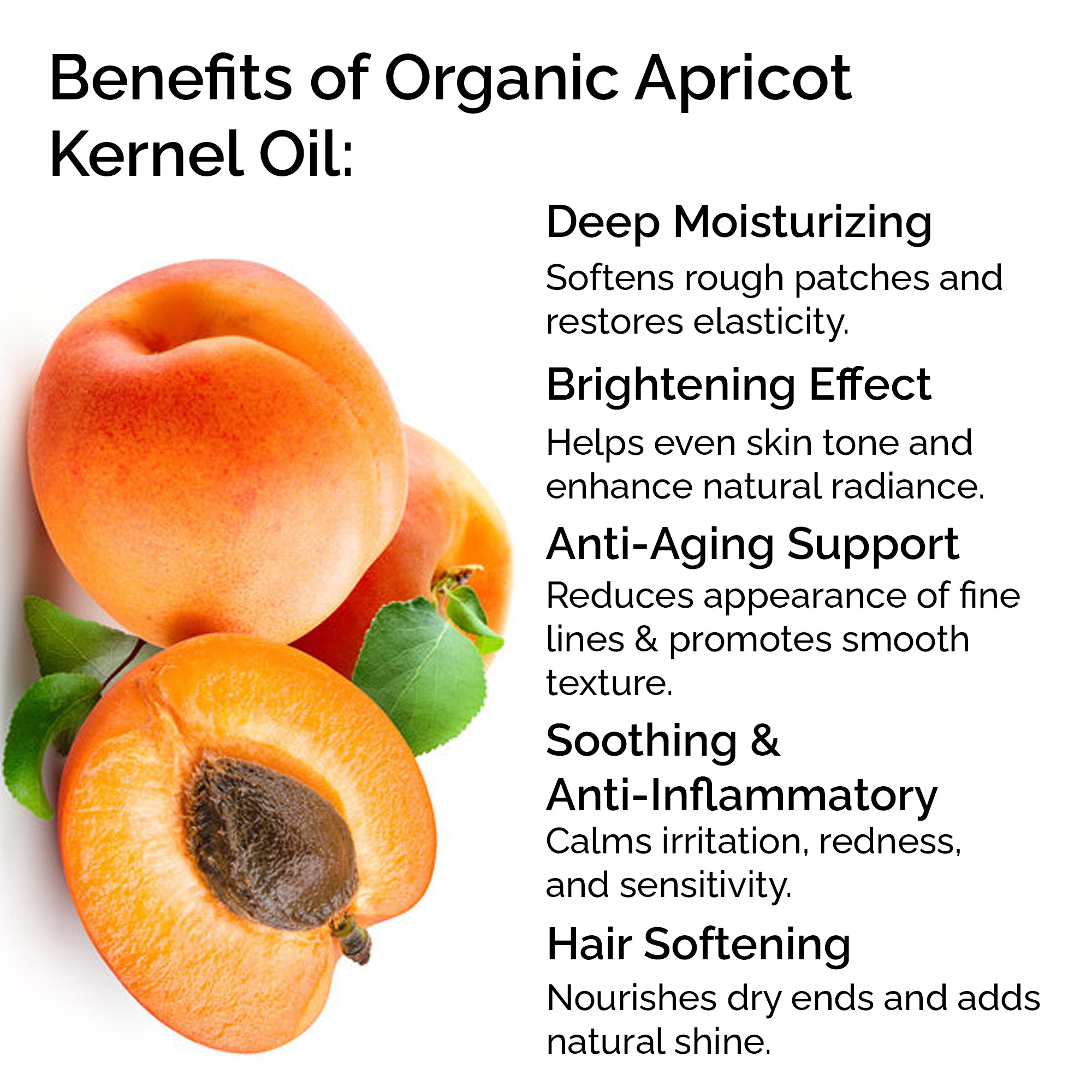 Organic Apricot Kernel Oil – 100% Pure & Cold-Pressed for Face, Body & Hair Care