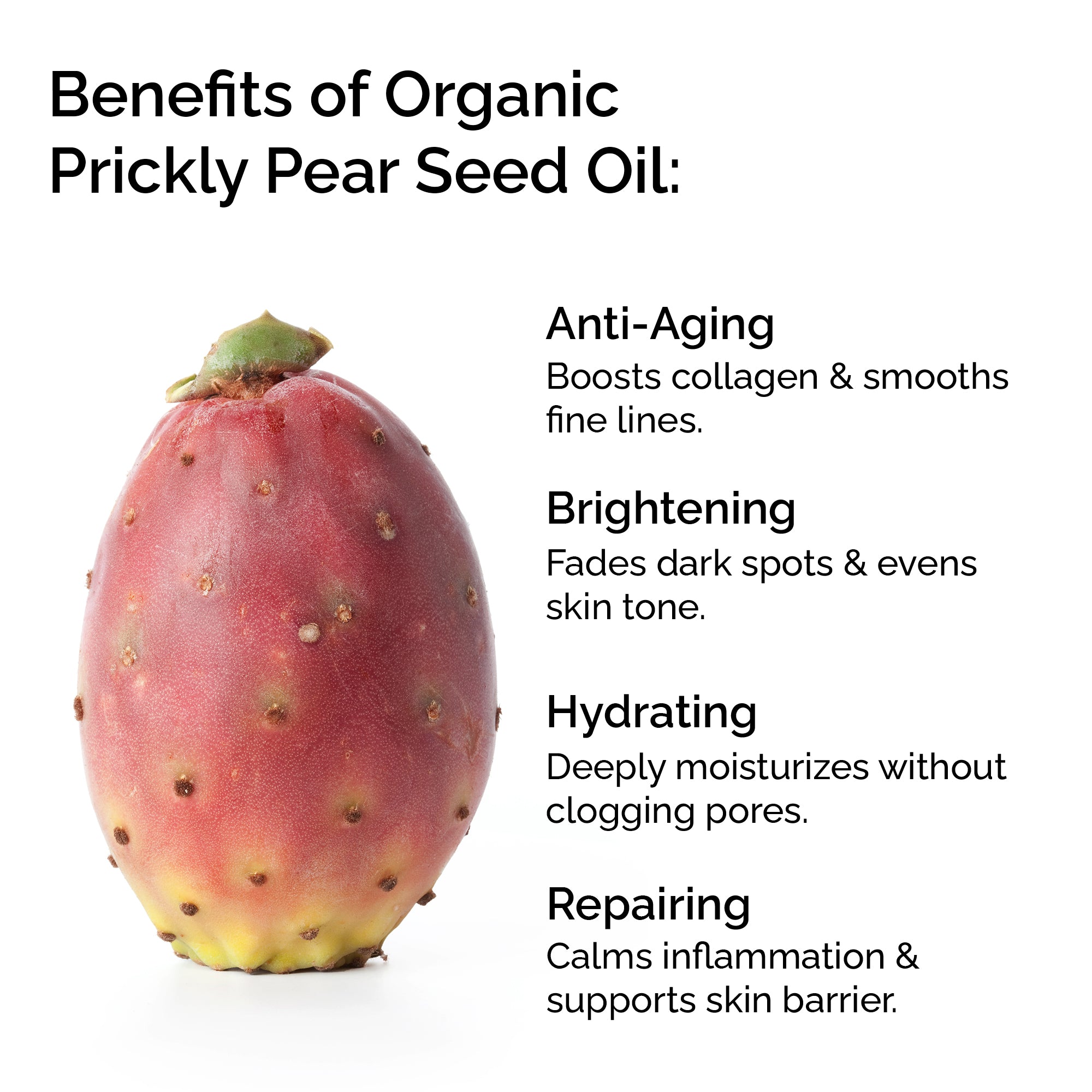 Prickly pear fruit with benefits of organic prickly pear seed oil listed on a white background