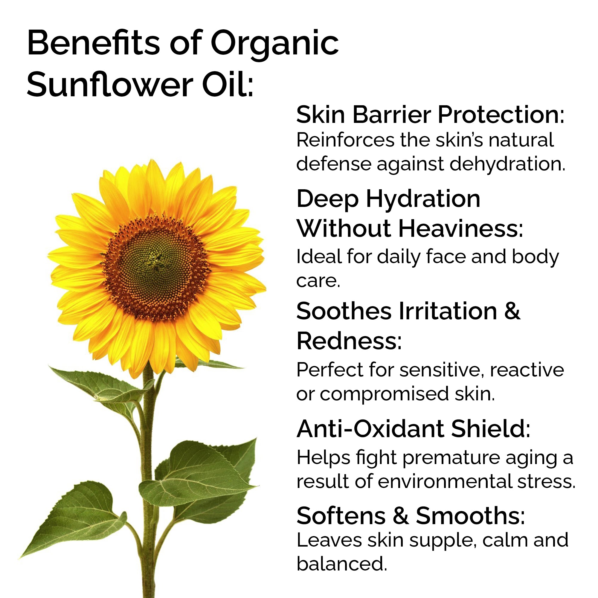 Organic Sunflower Oil 100% Pure & Cold-Pressed for Face, Body, Hair & Massage