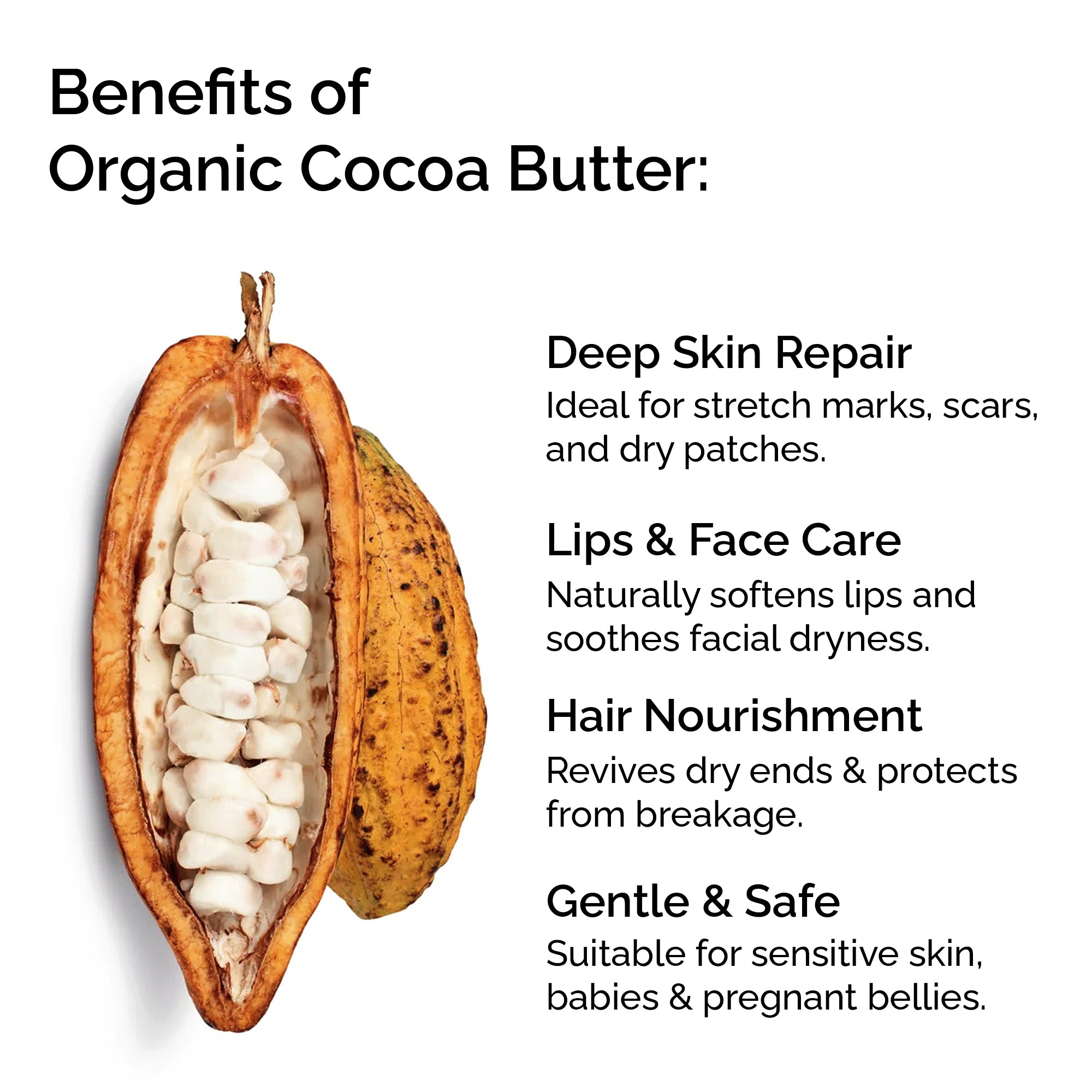 Beurre de cacao 100 % biologique – Formule nourrissante pour la peau et les cheveux