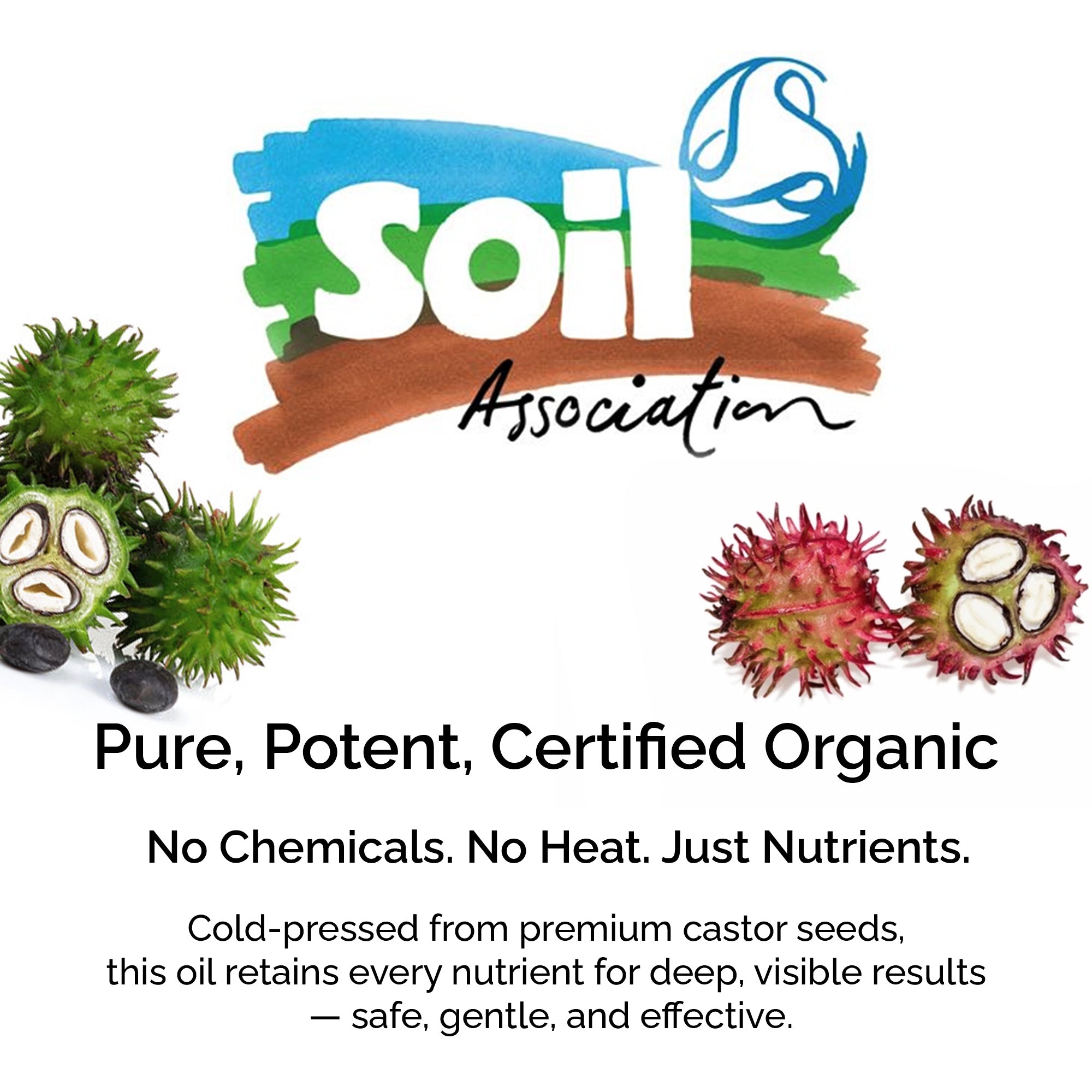 Organic Castor Oil – 100% Pure, Cold-Pressed for Hair, Skin & Lashes