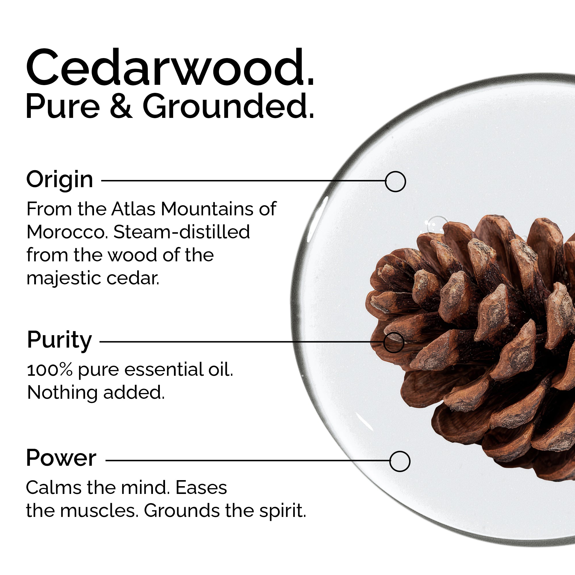 Organic Cedarwood Essential Oil – 100% Pure & Natural