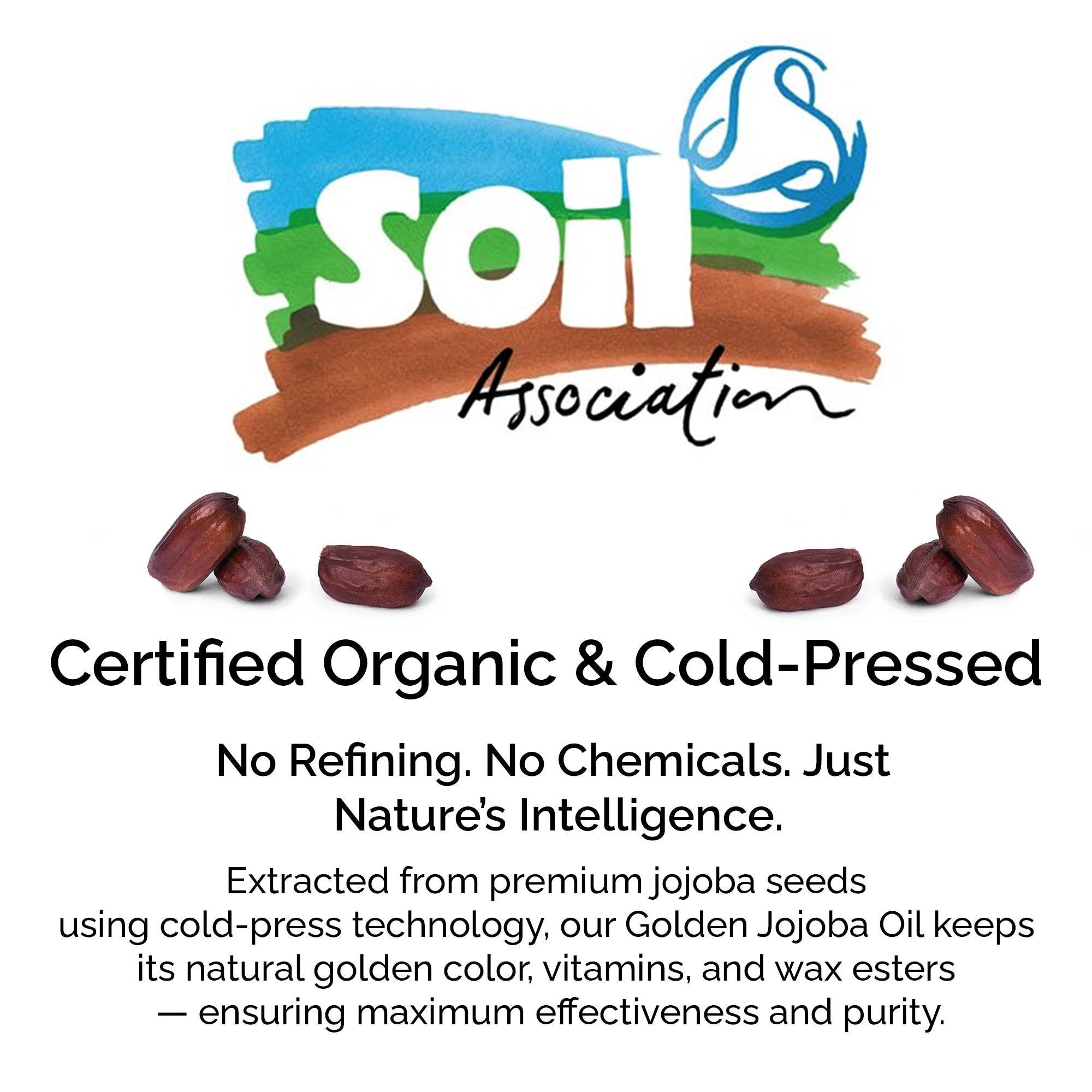 Organic Jojoba Oil – Cold Pressed 100% Pure Natural Oil for Face, Body, Hair & Skin Care
