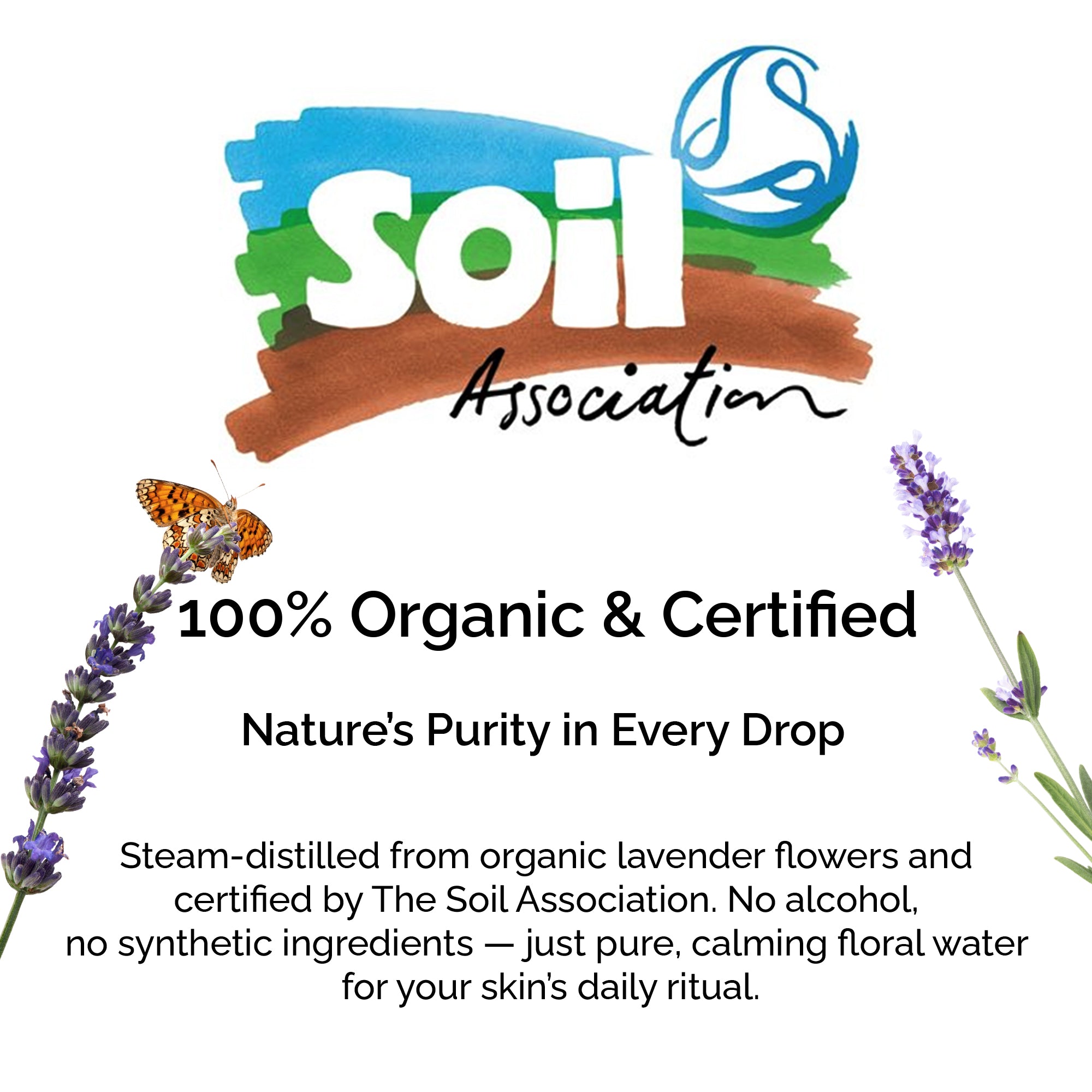 Organic Lavender Hydrosol – Soothing Floral Water for Skin & Hair