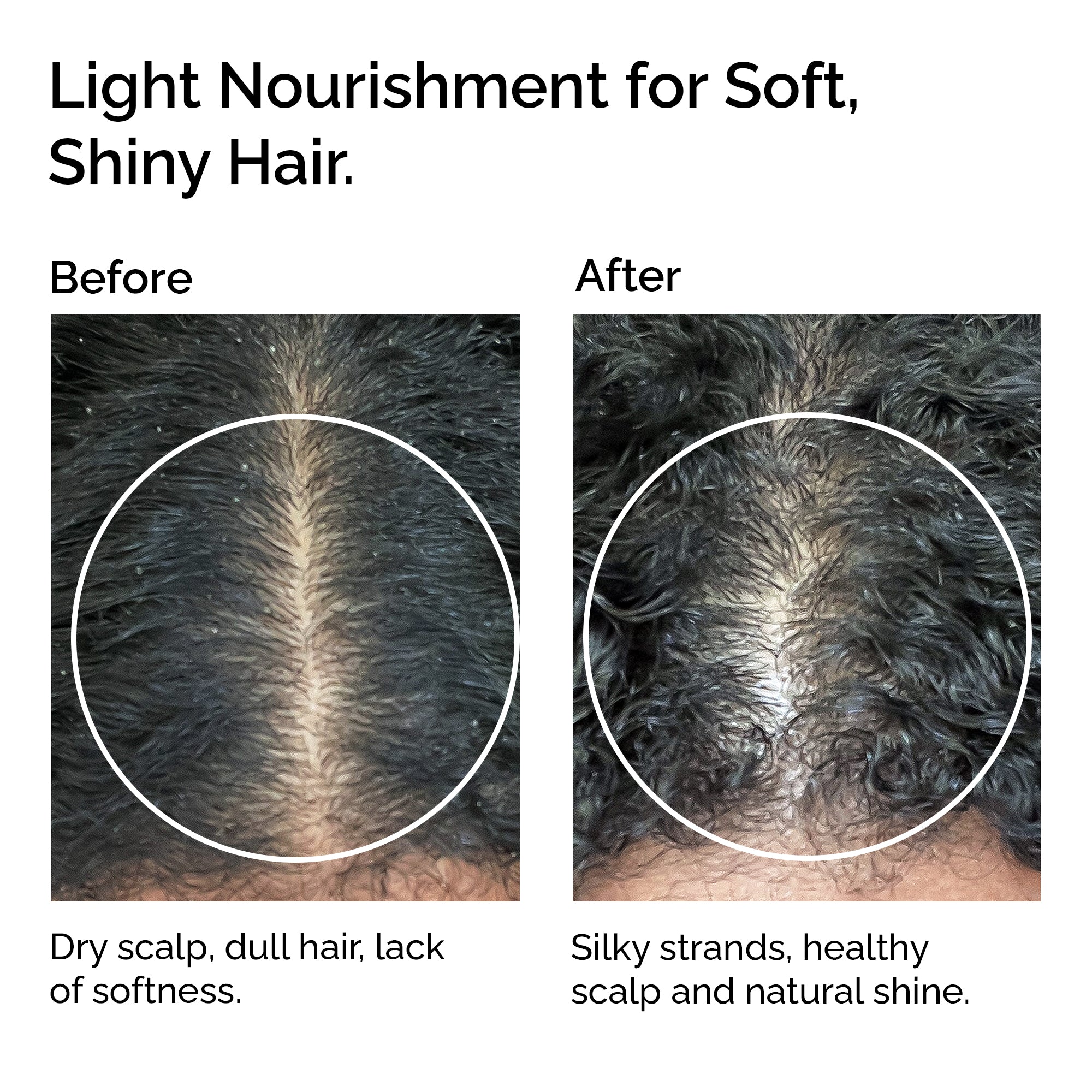 Organic Sunflower Oil 100% Pure & Cold-Pressed for Face, Body, Hair & Massage
