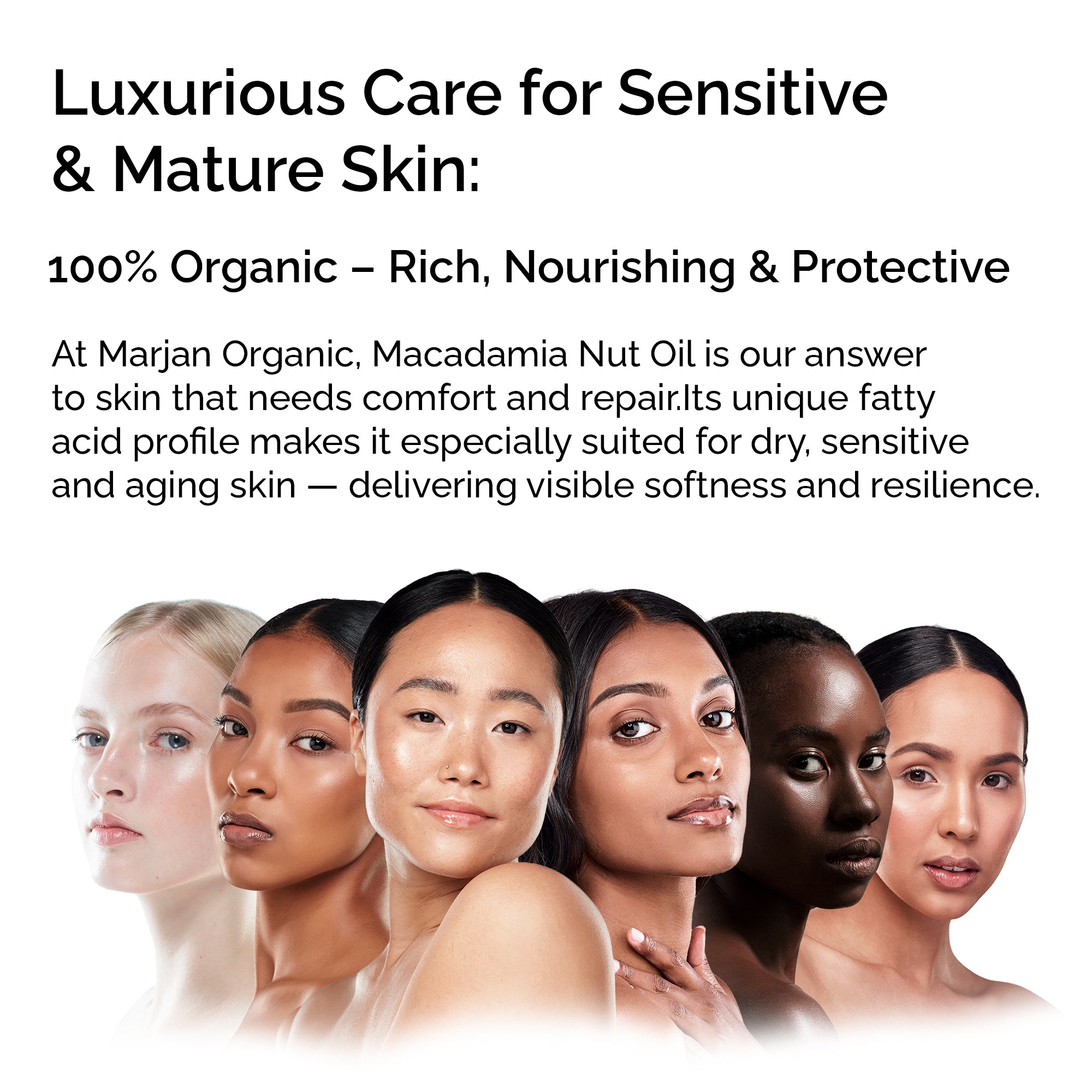 Organic Macadamia Oil – Pure & Cold-Pressed for Face, Body & Hair