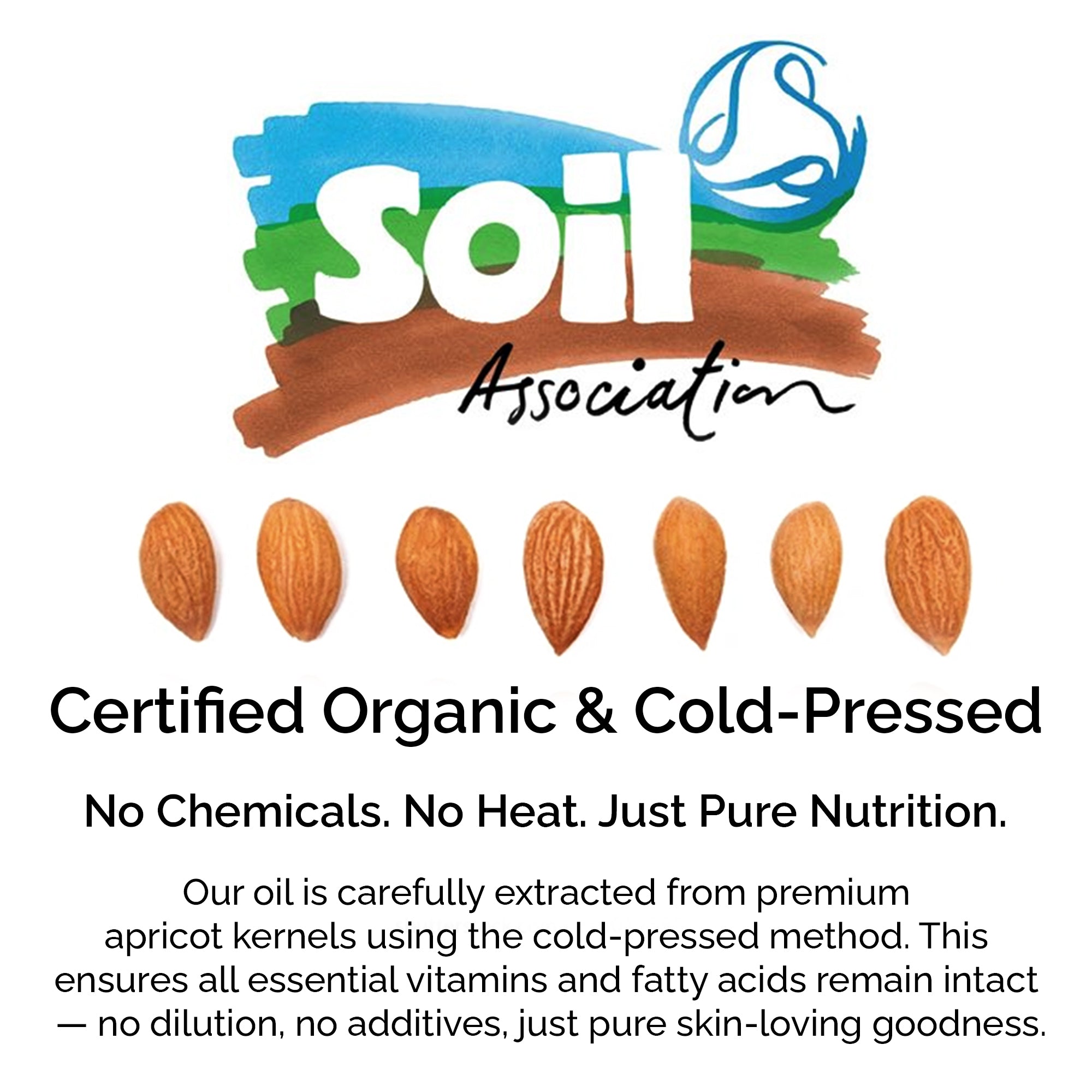 Cold-Pressed Organic Apricot Kernel Oil – Pure Natural Oil for Skin & Hair Care