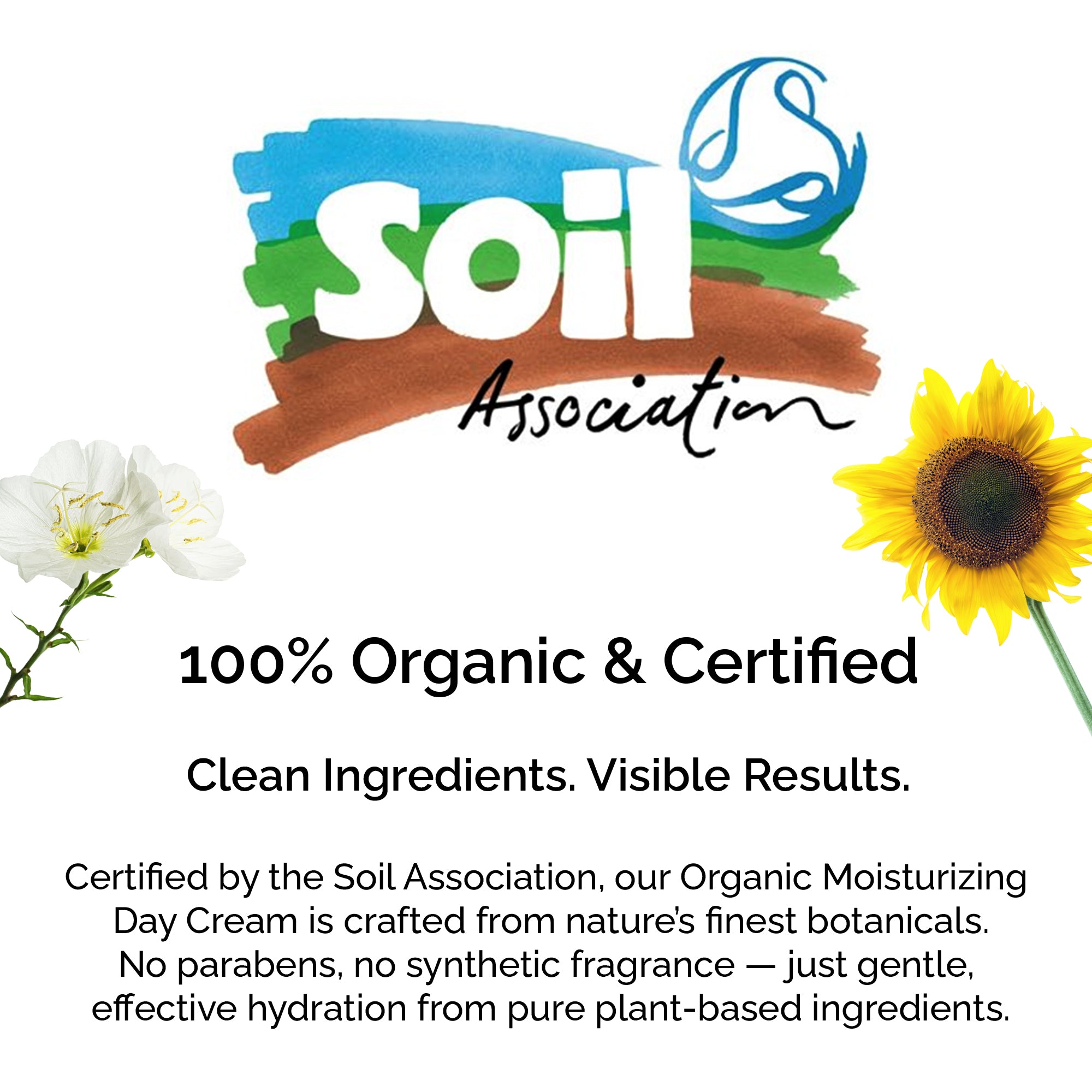 Organic Moisturizing Day Cream – Hydrates & Soothes Skin Naturally