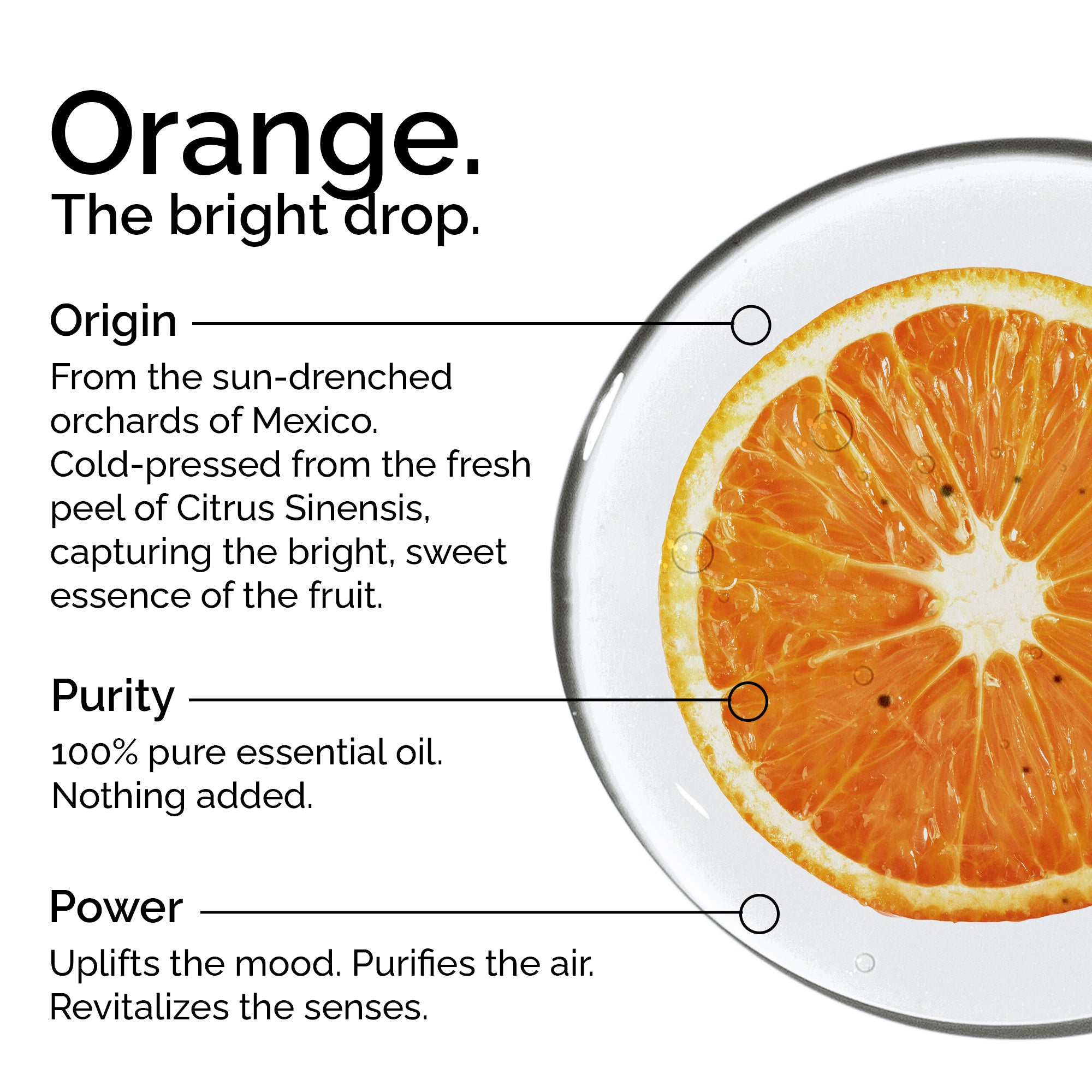 Organic Sweet Orange Essential Oil – 100% Pure & Natural, Undiluted | Citrus sinensis