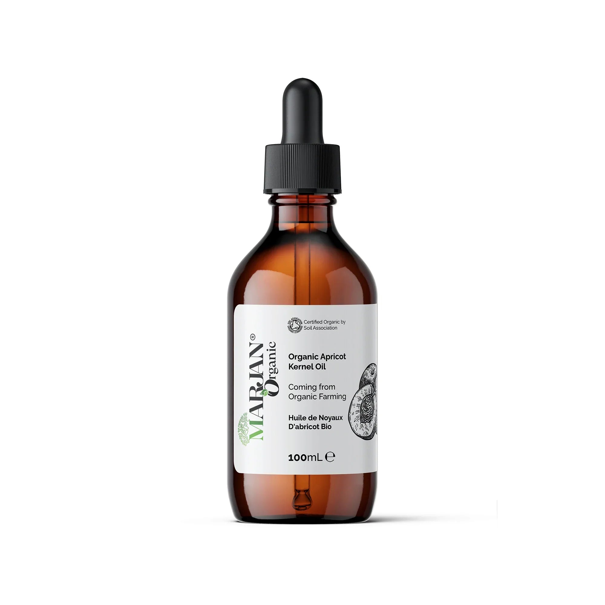 Organic Apricot Kernel Oil – Pure & Cold-Pressed for Face, Body & Hair