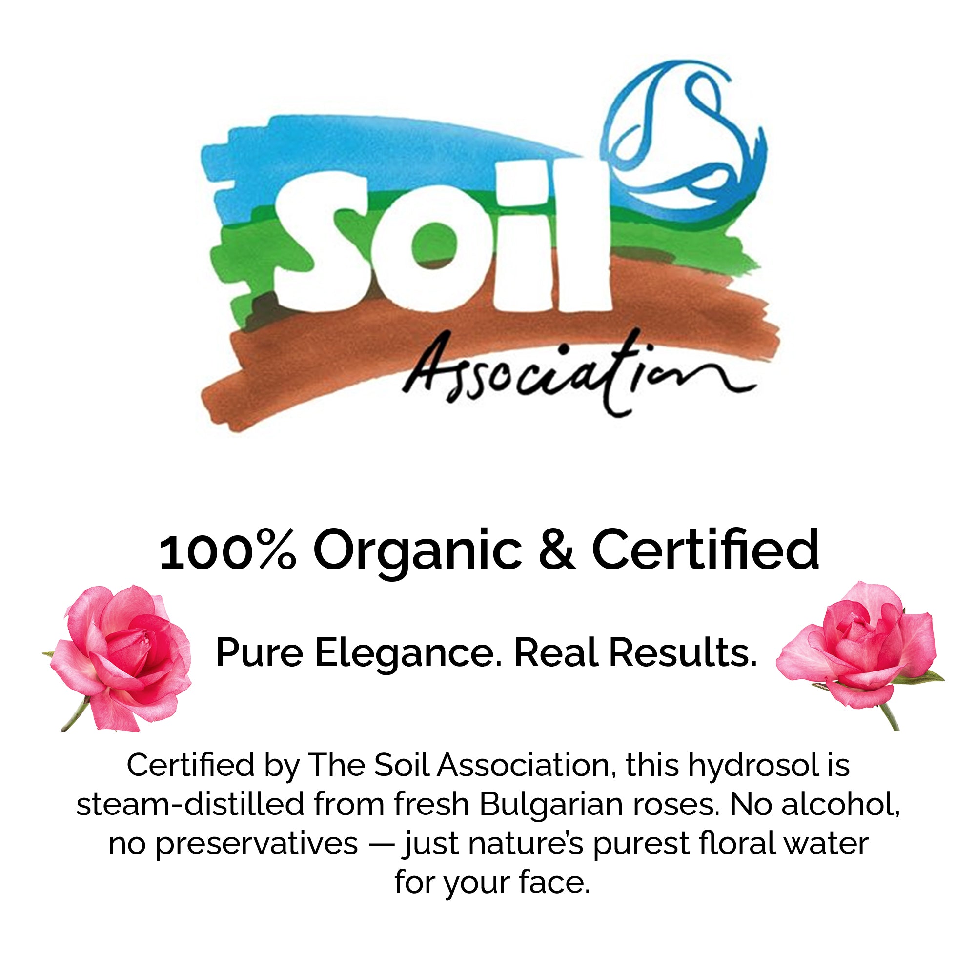 Organic Rose Water from Bulgaria – Natural Hydrosol Floral for Skin & Hair Care