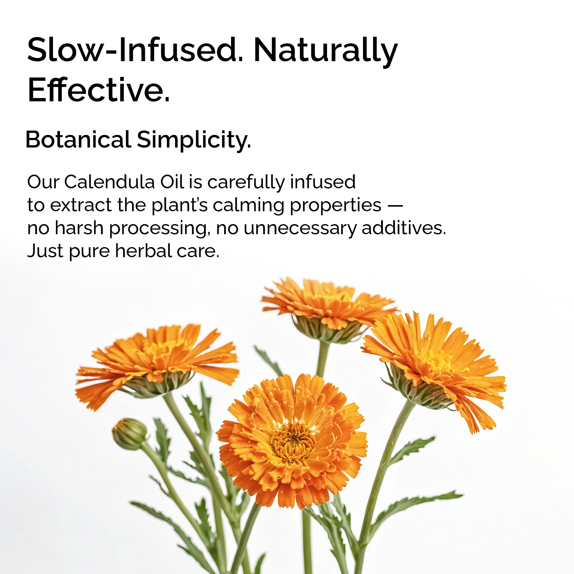 Calendula Infused Oil – Face, Body & Baby Care for Sensitive Skin