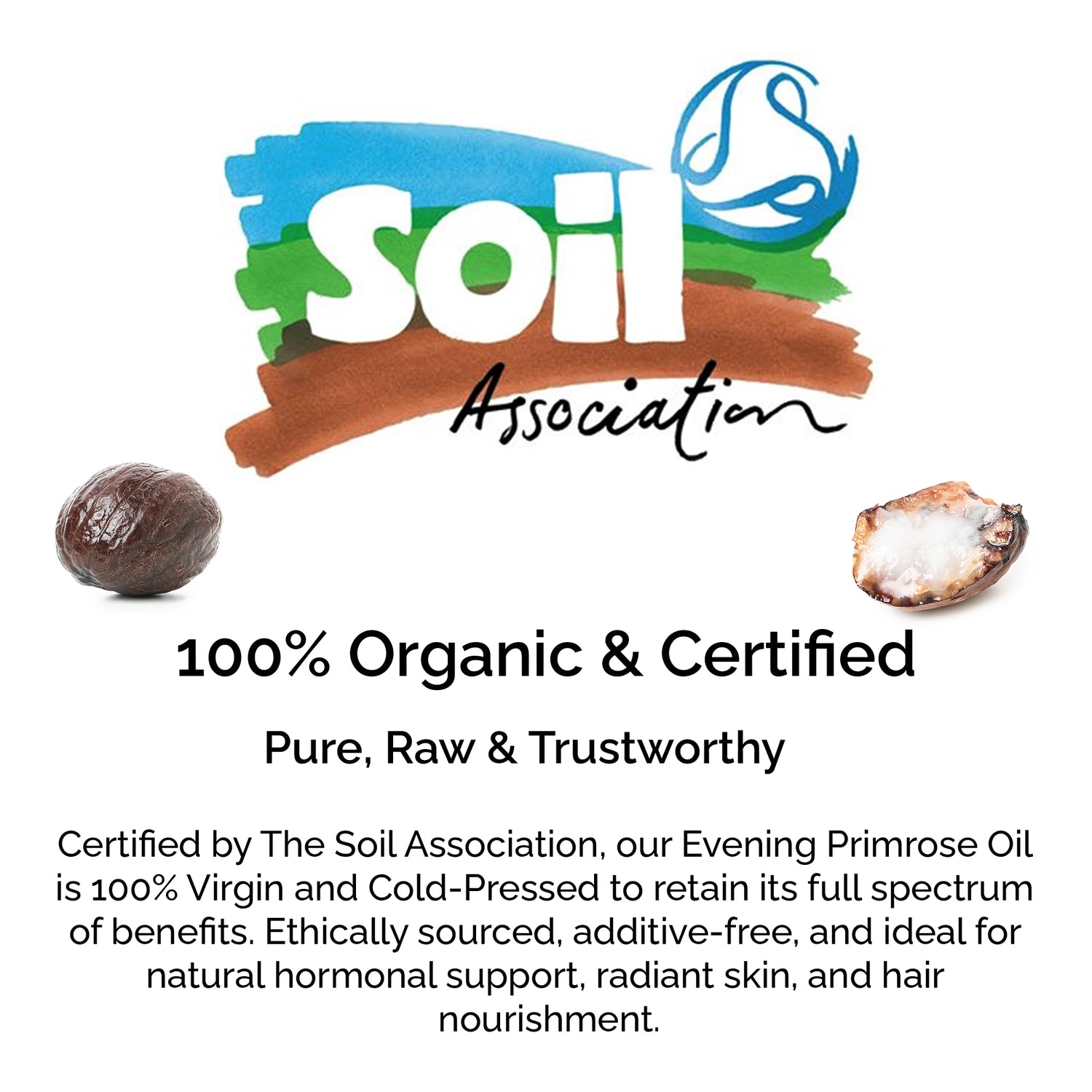 Organic Shea Butter – Deep Nourishment for Dry, Damaged Skin