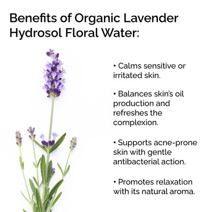 Organic Lavender Hydrosol – Soothing &amp; Purifying Floral Water
