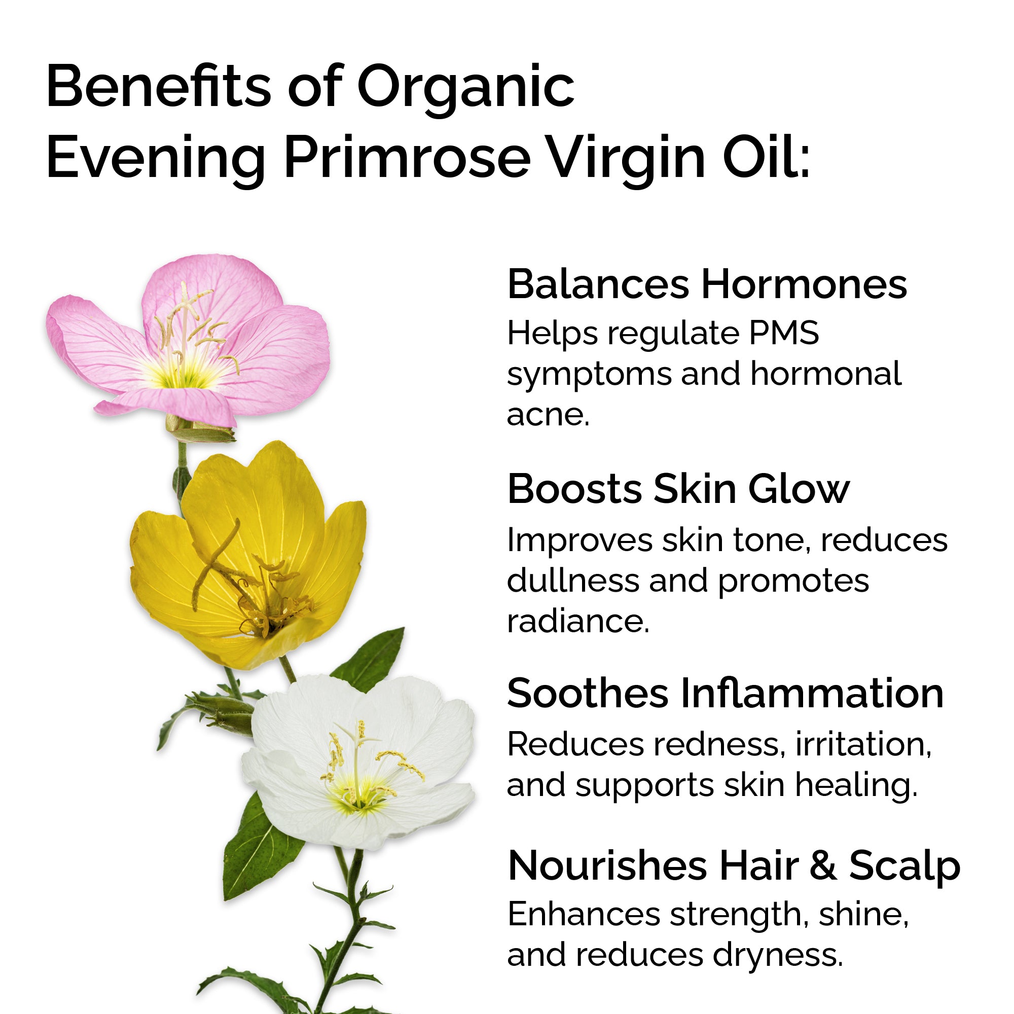 Organic Evening Primrose Oil – 100% Pure &amp; Cold-Pressed for Face, Body &amp; Hair