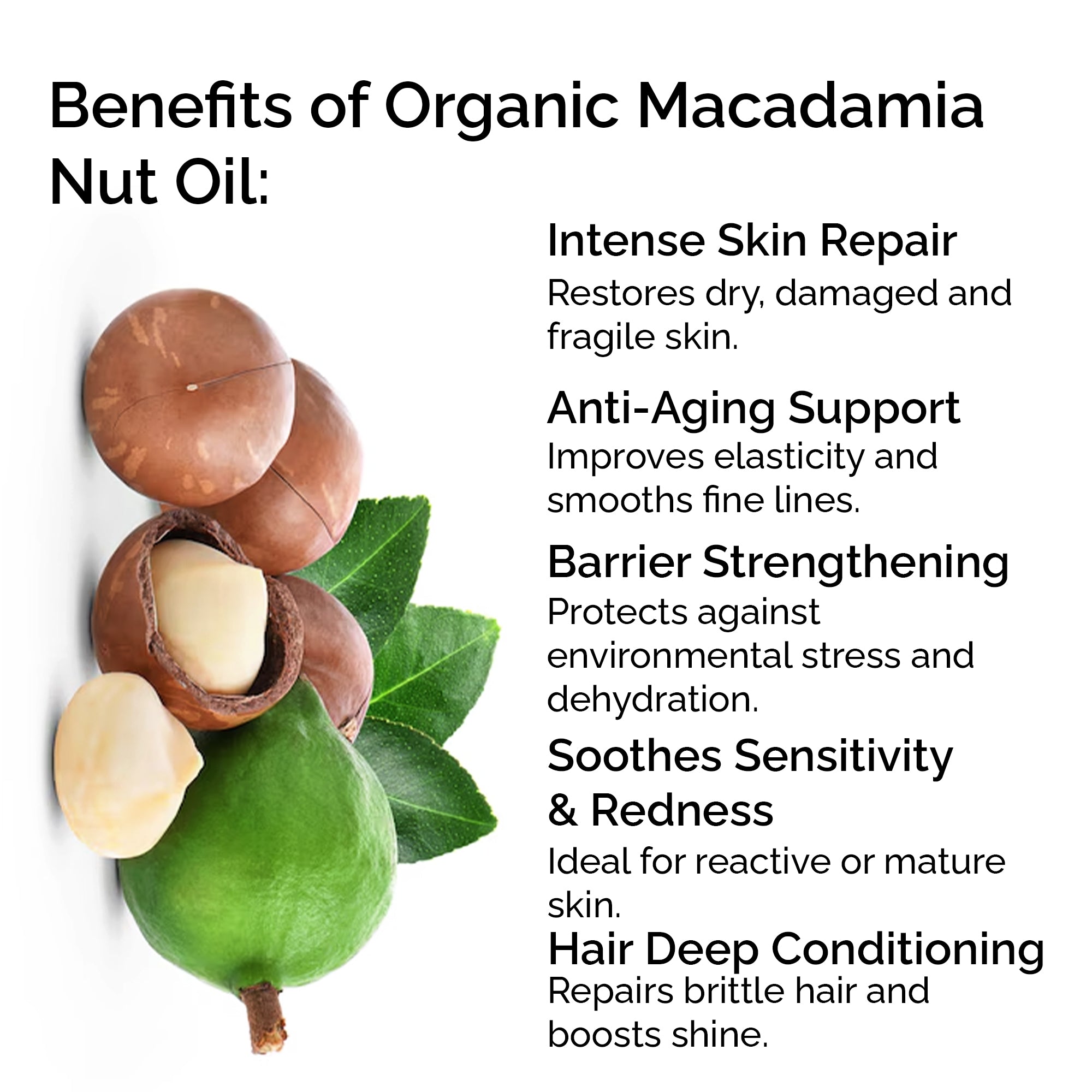 Organic Macadamia Oil – Pure &amp; Cold-Pressed for Face, Body &amp; Hair