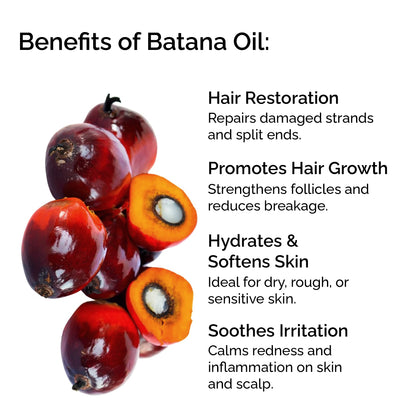 Fractionated Batana Oil from Honduras – Hair Growth &amp; Glow Face Oil