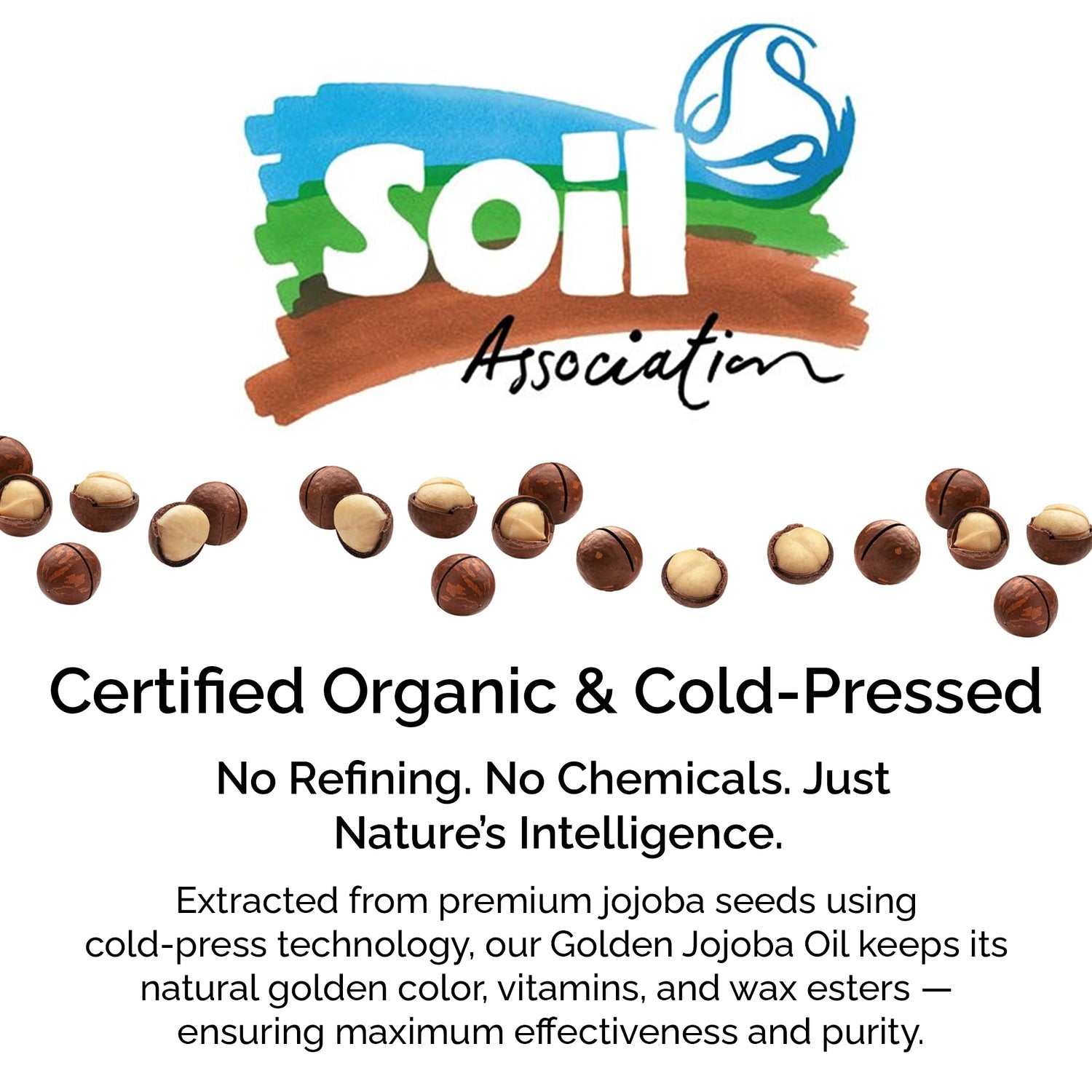 Organic Macadamia Oil – Pure Cold-Pressed Oil for Face &amp; Hair Care