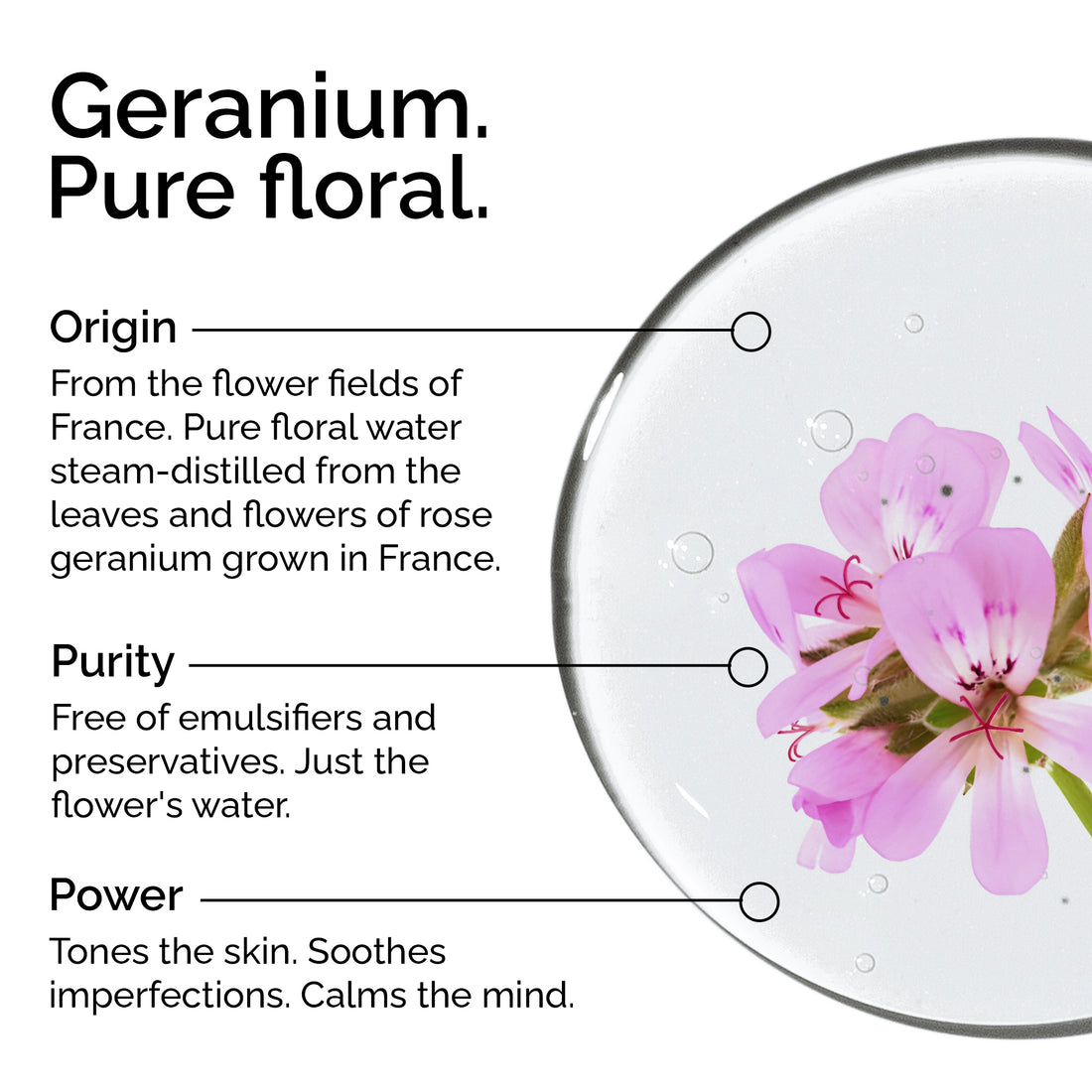 Geranium Hydrosol – Pure Floral Water for Skin &amp; Hair