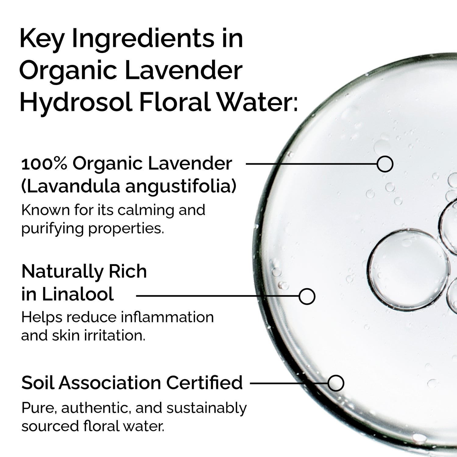 Organic Lavender Hydrosol – Soothing &amp; Purifying Floral Water