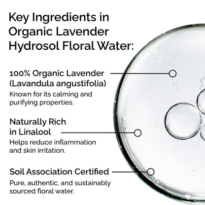 Organic Lavender Hydrosol – Soothing &amp; Purifying Floral Water