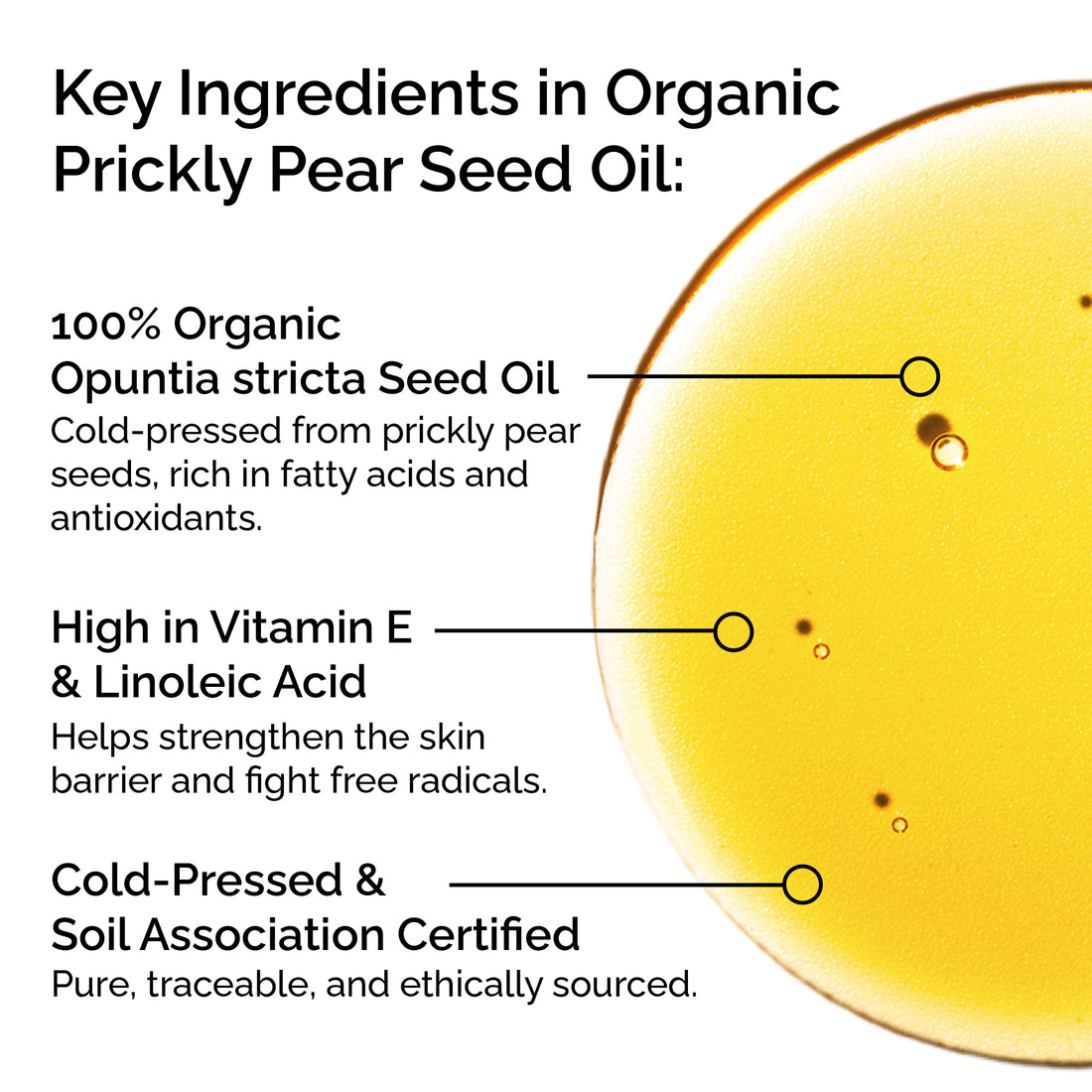 Infographic detailing key ingredients in organic prickly pear seed oil with a close-up of the oil.