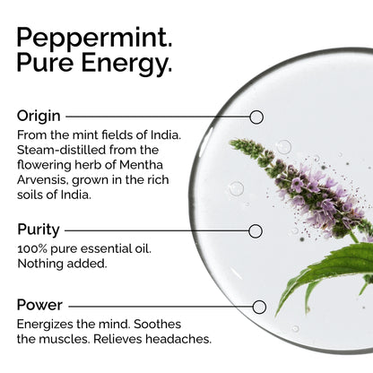Organic Peppermint Arvensis Essential Oil – 100% Pure &amp; Natural, Undiluted