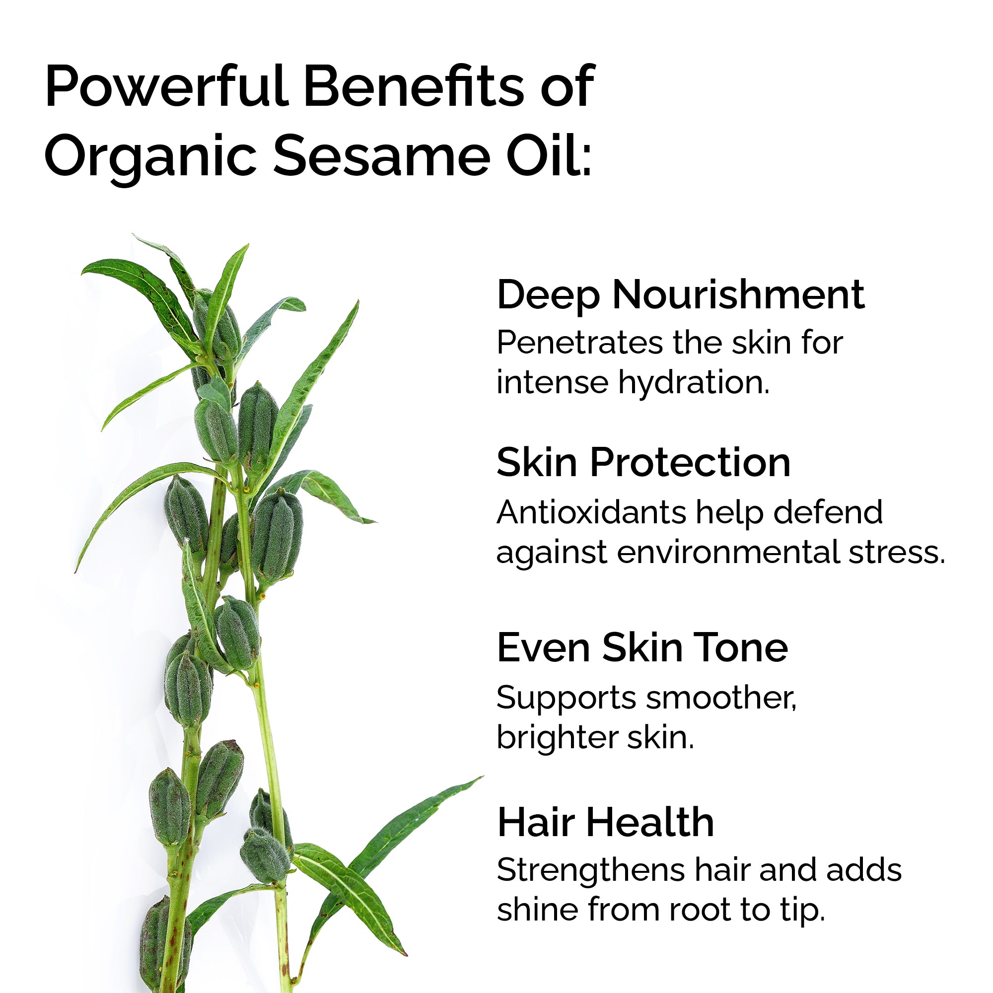 Organic Sesame Seed Oil – 100% Pure, Cold-Pressed for Face, Skin, Hair &amp; Massage