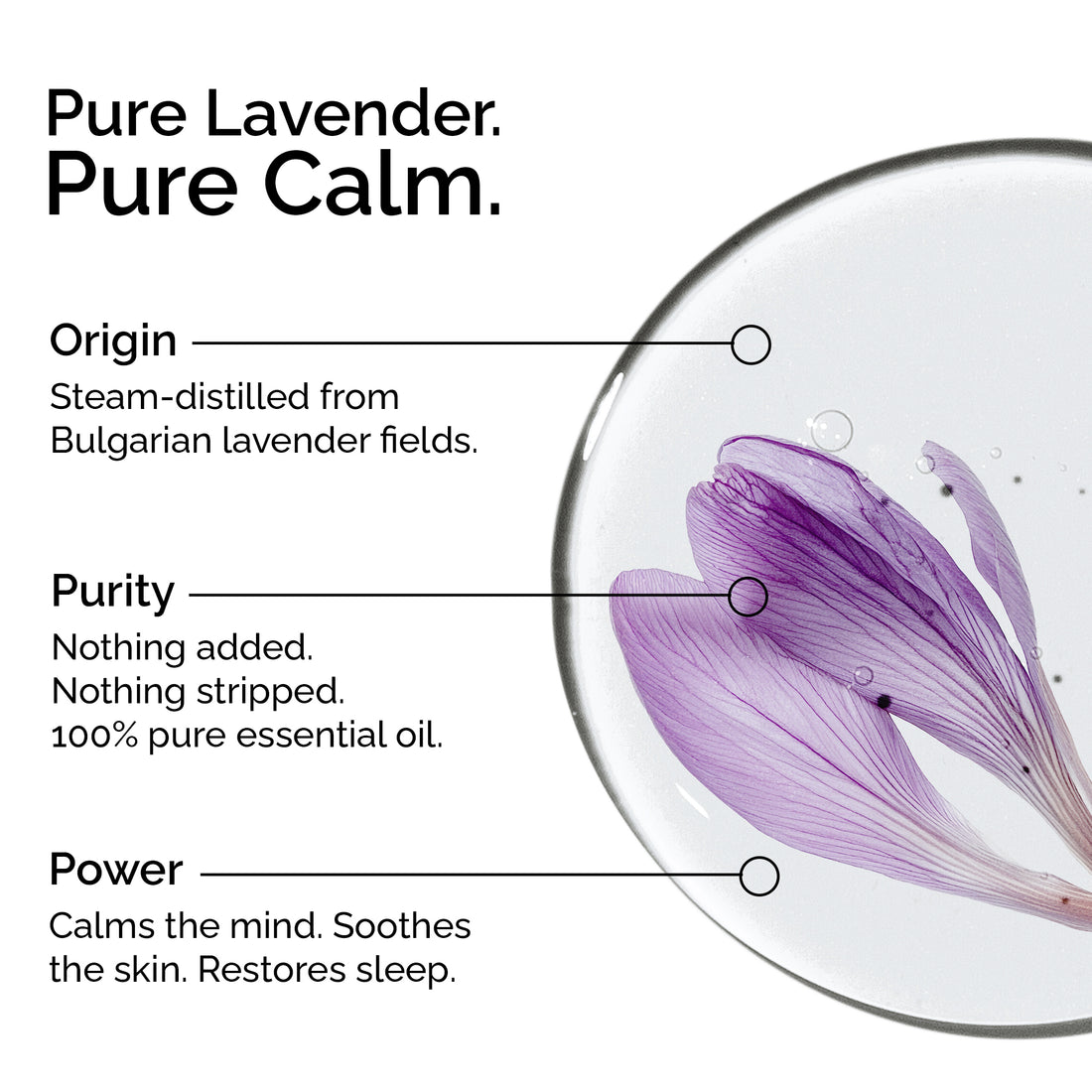 Organic Lavender Essential Oil | 100% Pure &amp; Natural