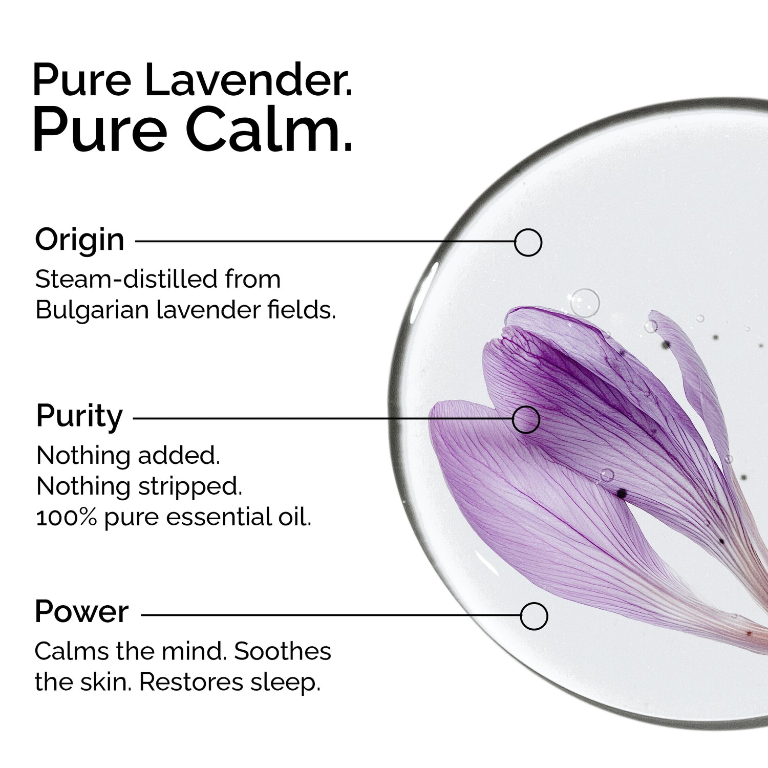 Organic Lavender Essential Oil | 100% Pure &amp; Natural