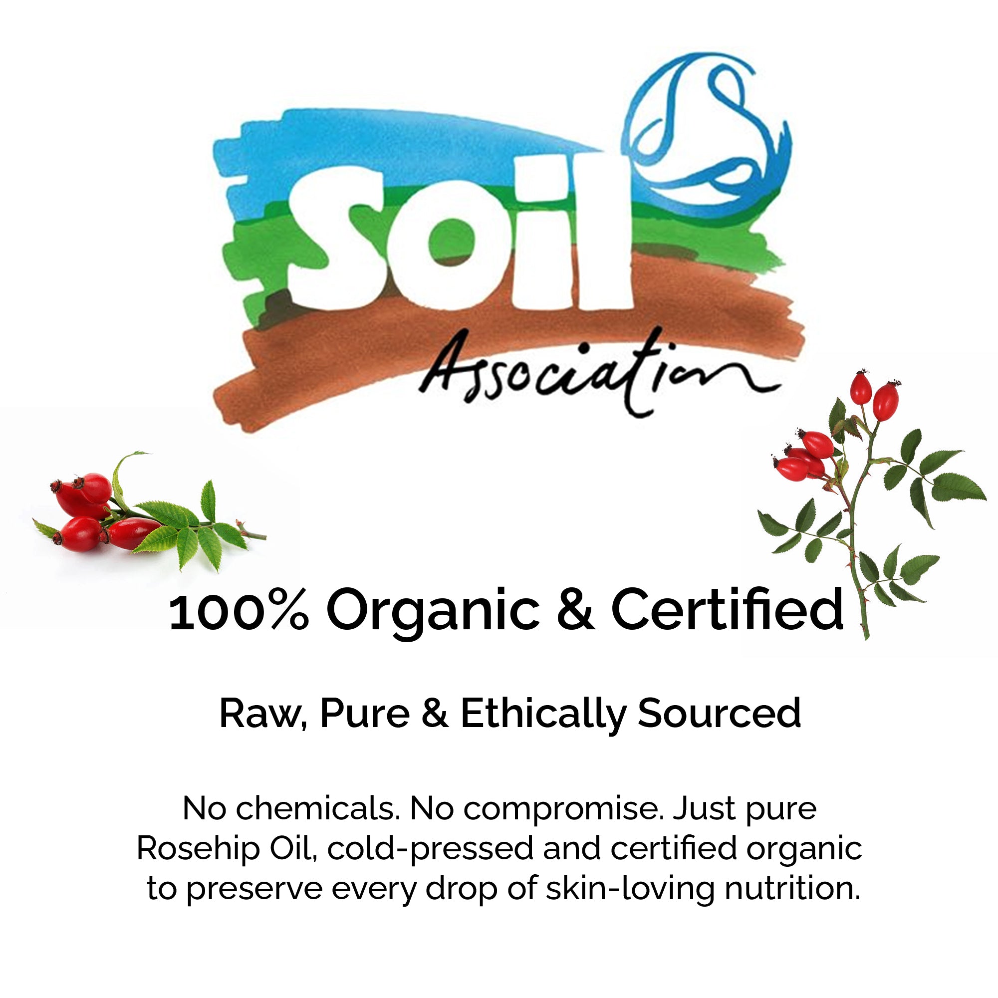Organic Rosehip Oil – 100% Pure Cold-Pressed Plant-Based Oil for Face, Body &amp; Hair