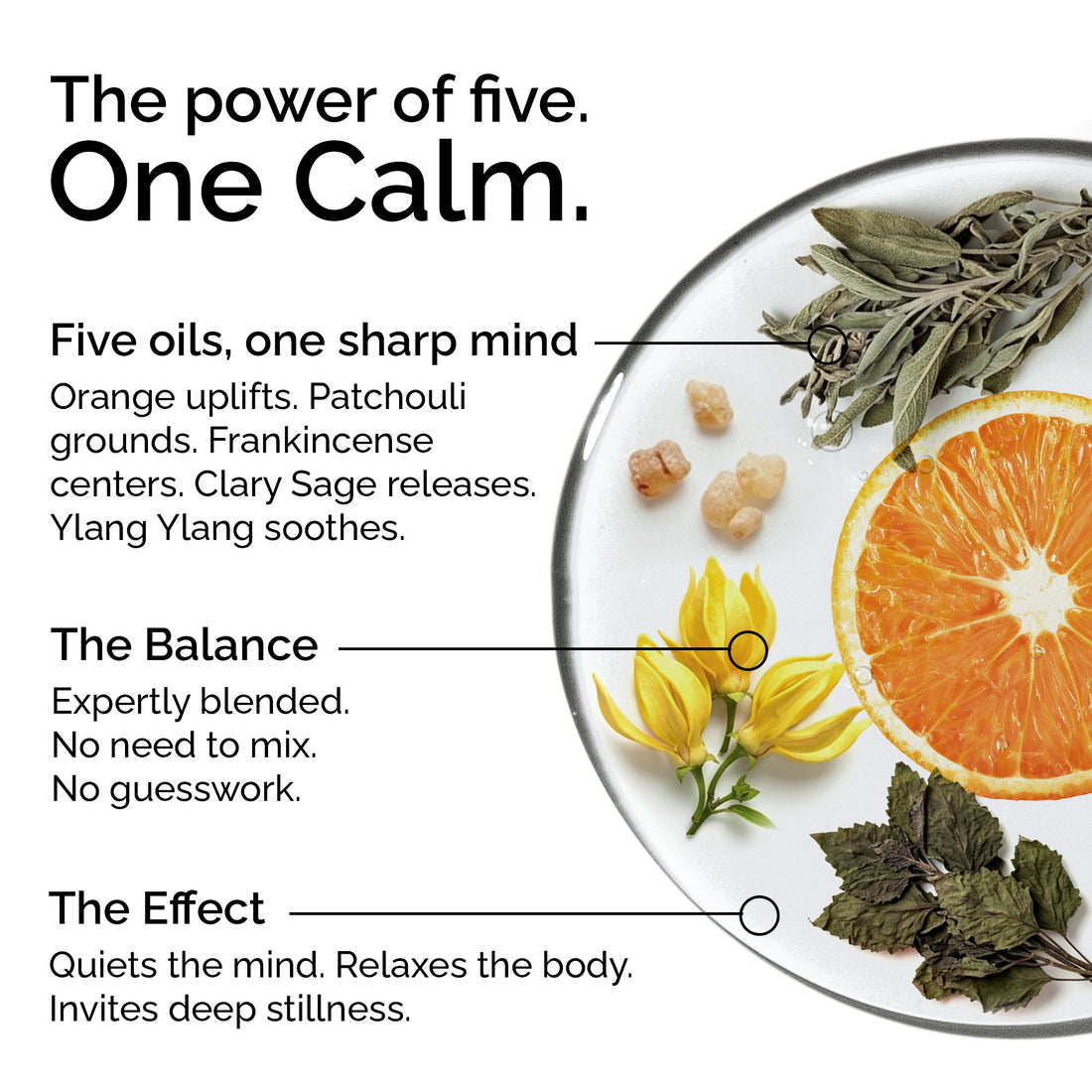Meditation – Essential Oil Blend for Clarity, Presence &amp; Deep Relaxation