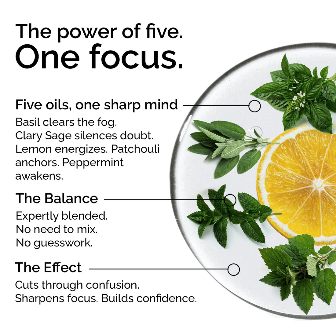 Decisiveness Essential Oil Blend – 100% Pure Synergy for Clarity &amp; Focus | Basil, Clary Sage, Lemon, Patchouli, Peppermint