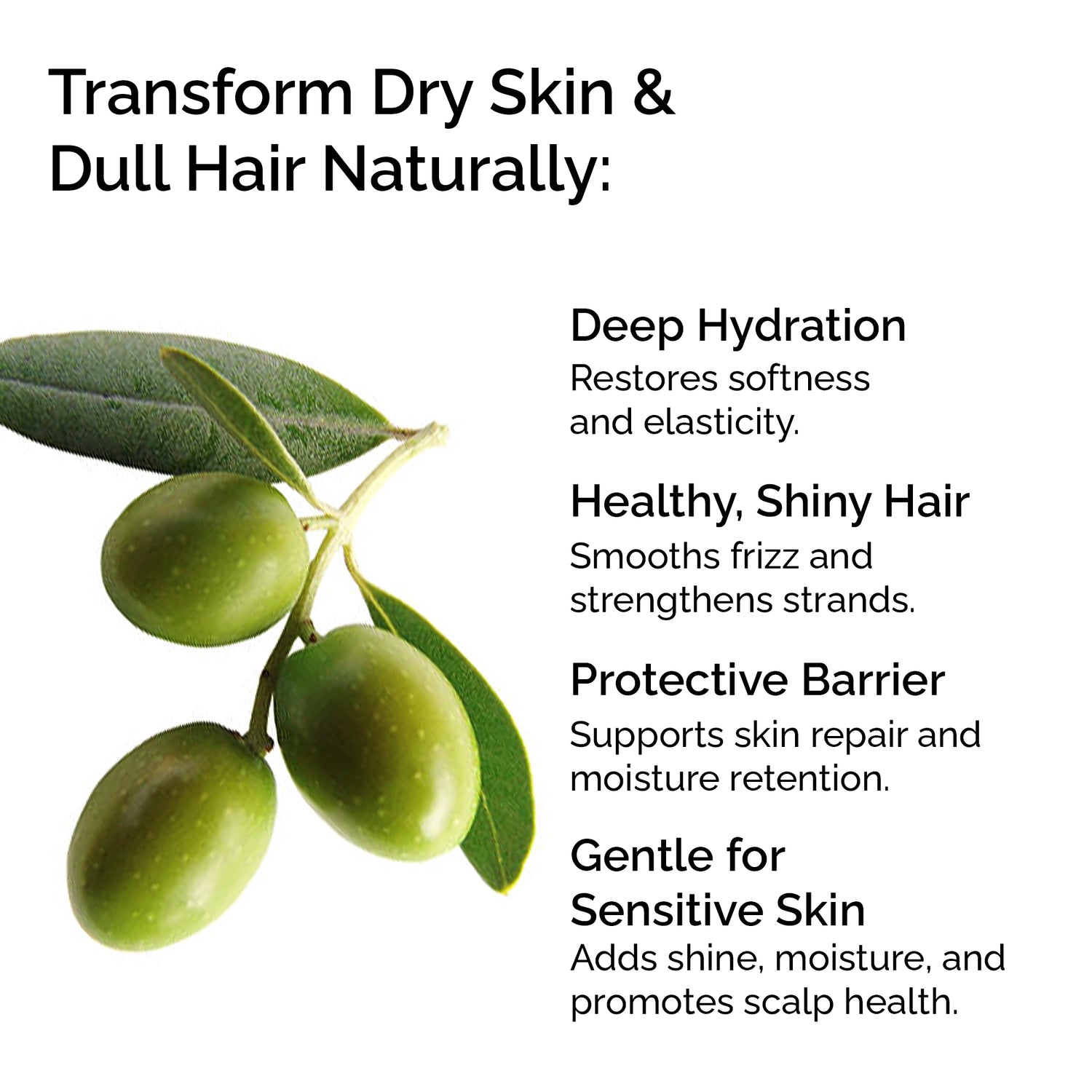 Organic Olive Oil – 100% Pure, Cold-Pressed for Skin &amp; Hair Care