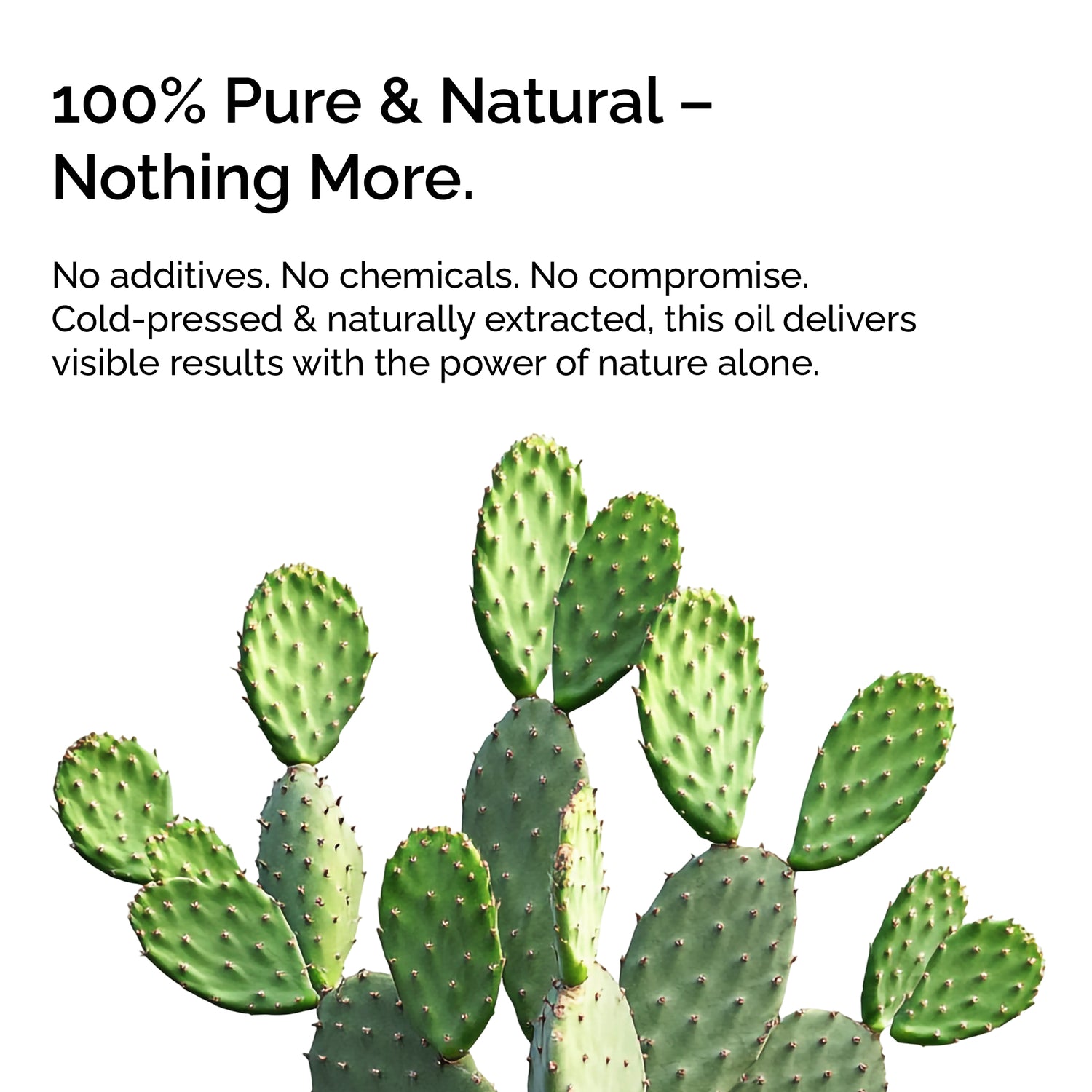 Prickly Pear Virgin Carrier Oil – Hydrating &amp; Nourishing Skin Care