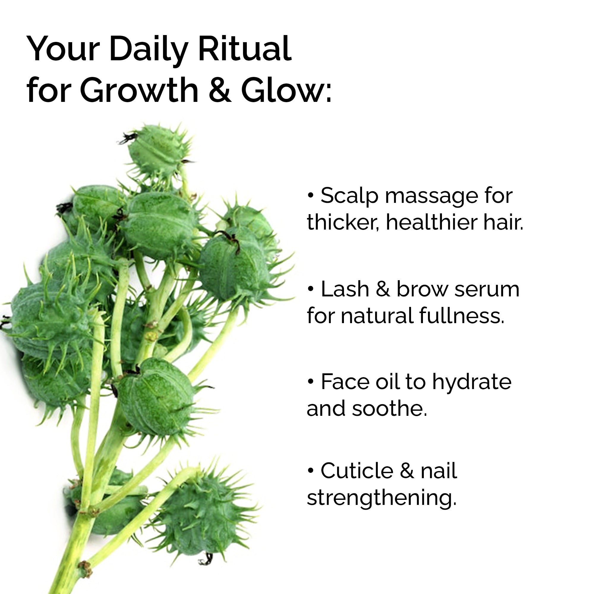 Organic Castor Oil – 100% Pure, Cold-Pressed for Hair, Skin &amp; Lashes